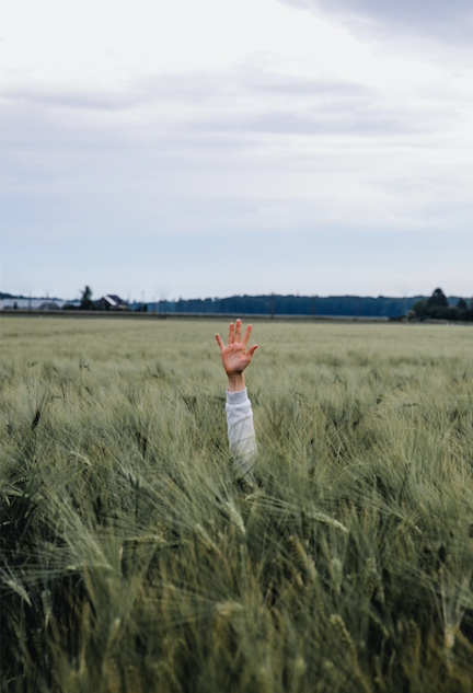 Photo by Jonny Caspari on Unsplash