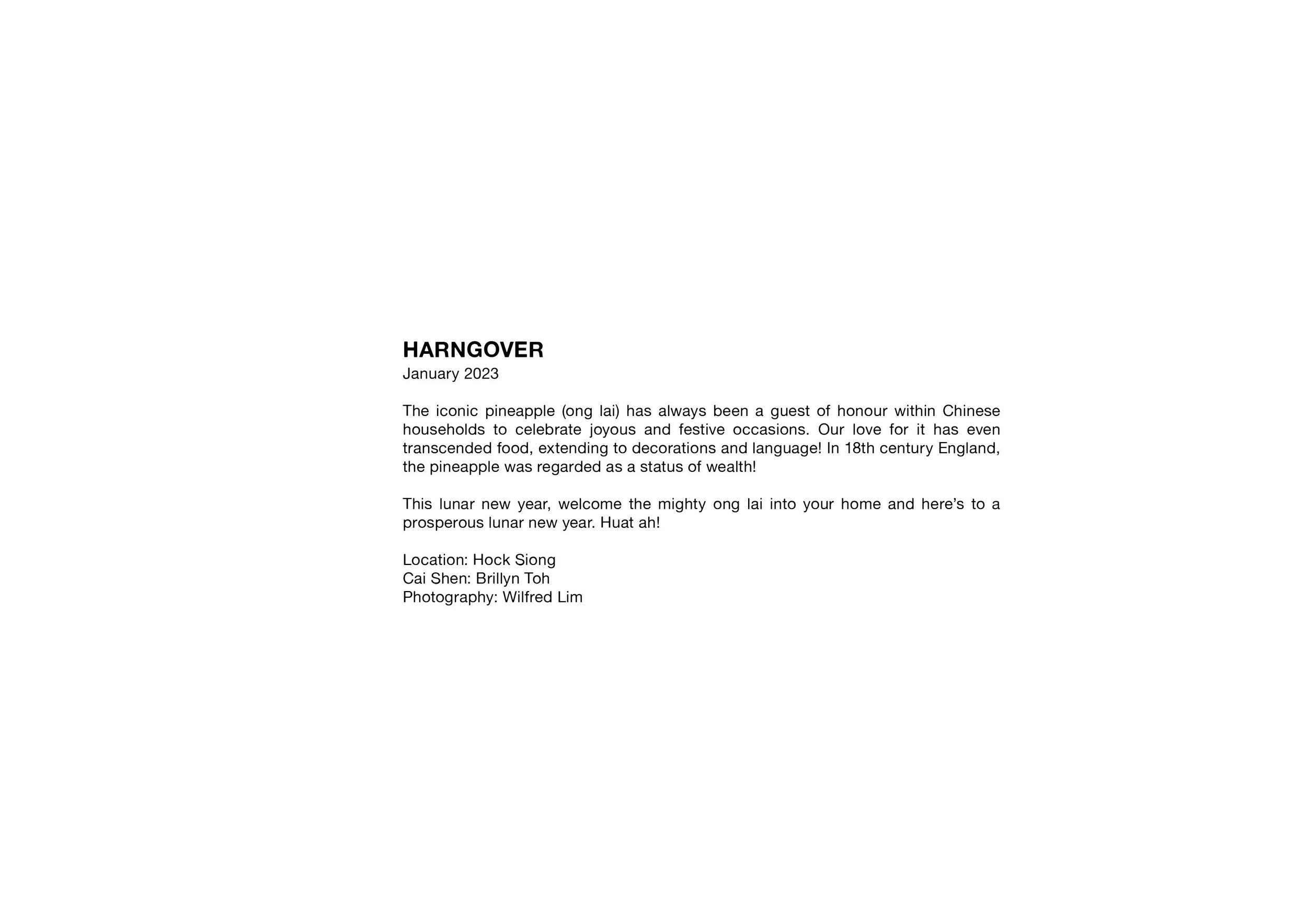 HARNGOVER CNY 2023.jpg