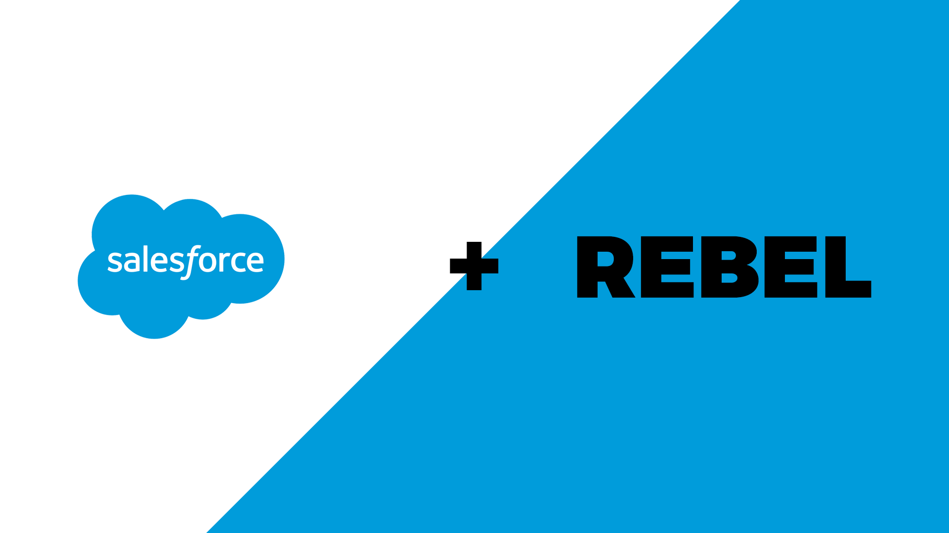 salesforce rebel.png