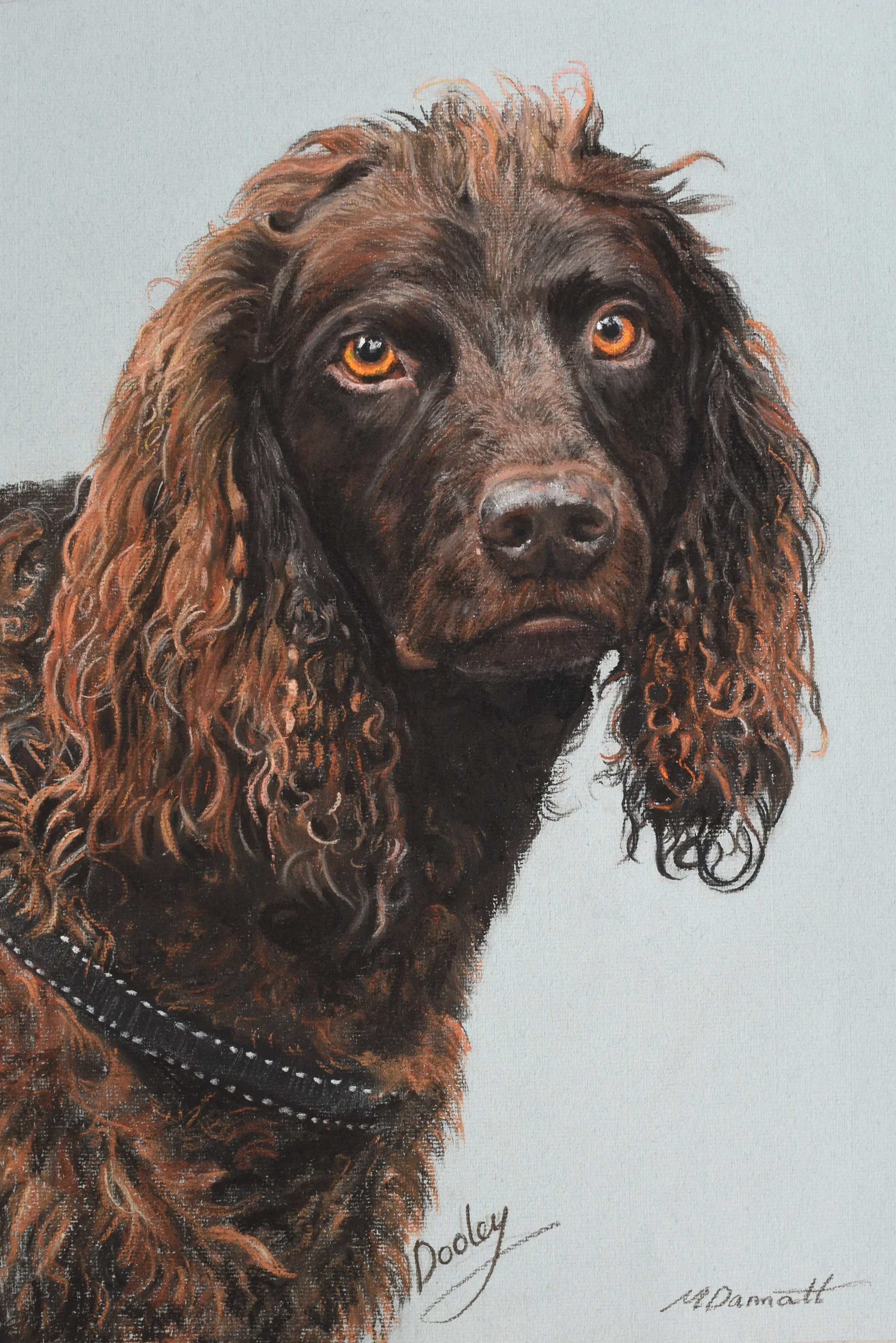 2020.07 Dooley finished detailed Liz.jpg