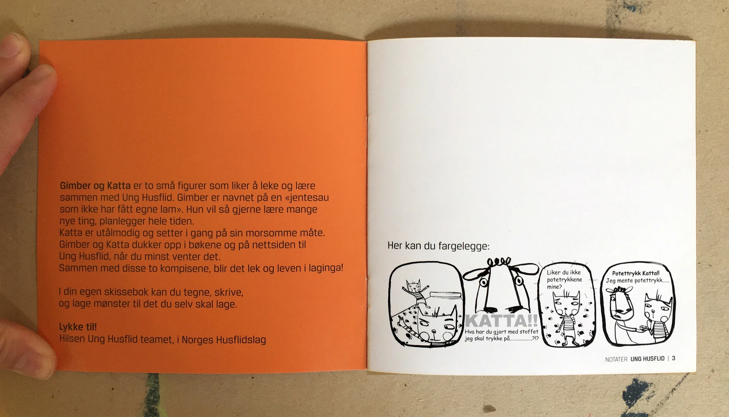 Skissebok /UNg Husflid