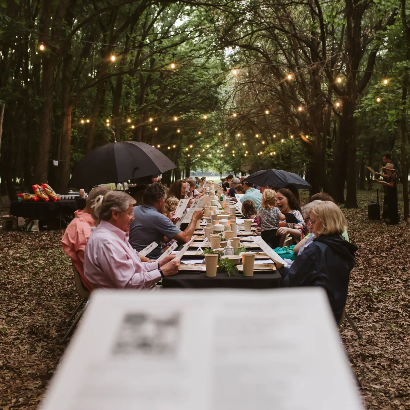 Tree Farm Dinner Party_Bearden.jpeg