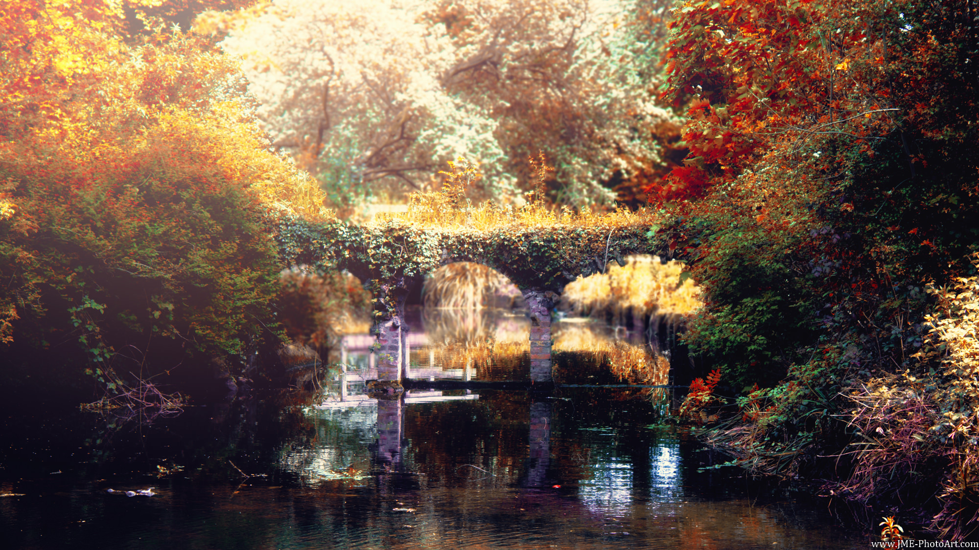 Hazy Autumn - Click/Tap to enlarge