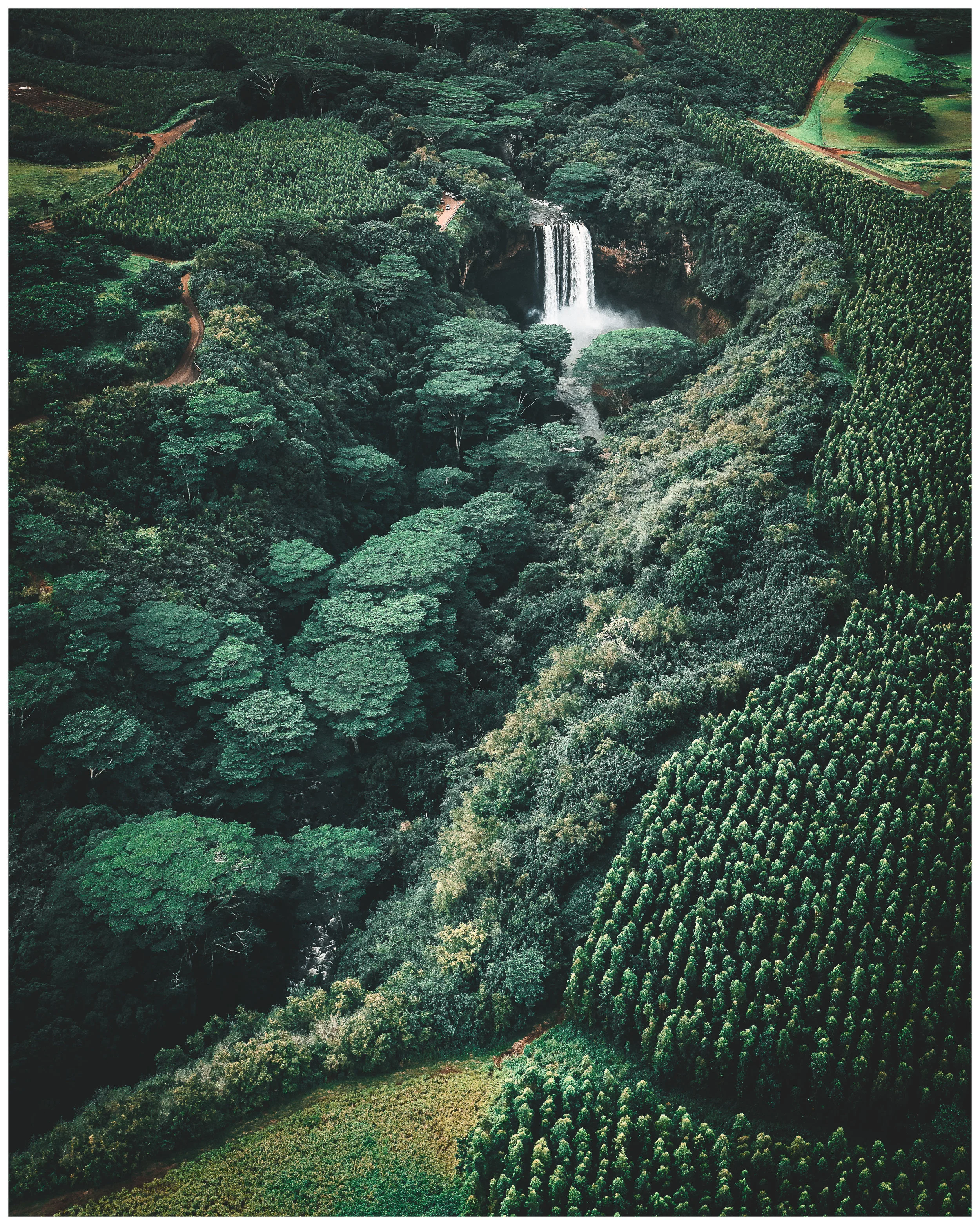 NapaliWaterfallW.jpg