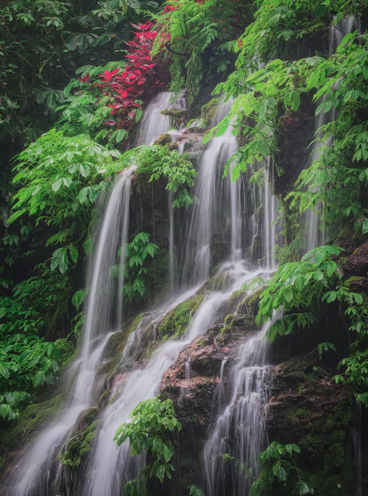 Bali Waterfall Detail Facebook copy.jpg