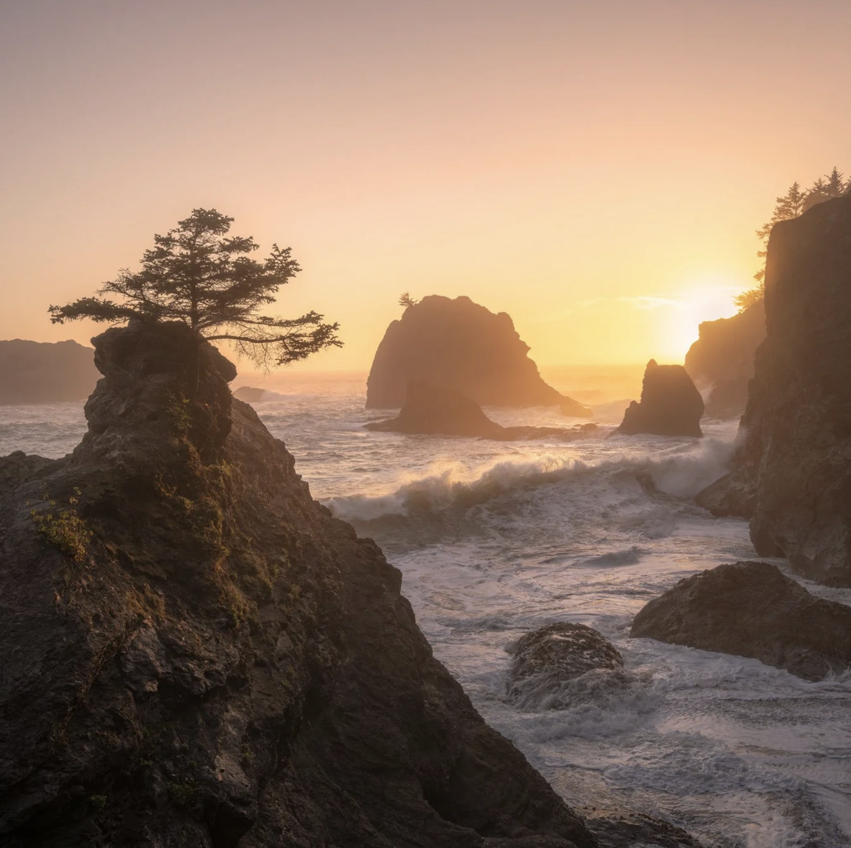 Oregon Coast &amp; Redwoods Photo Tour May 21 - May 27, 2027