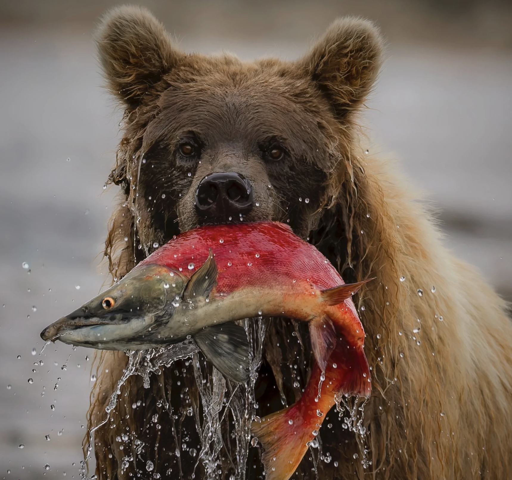 Screenshot 2026-02-27 at 12.57.00 PM.png