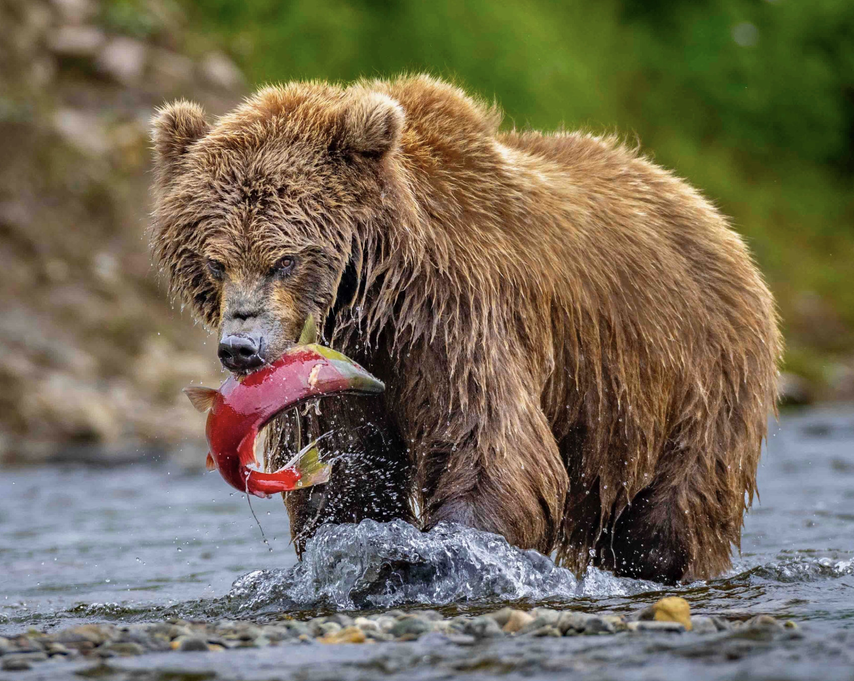 Screenshot 2026-02-27 at 1.01.27 PM.png