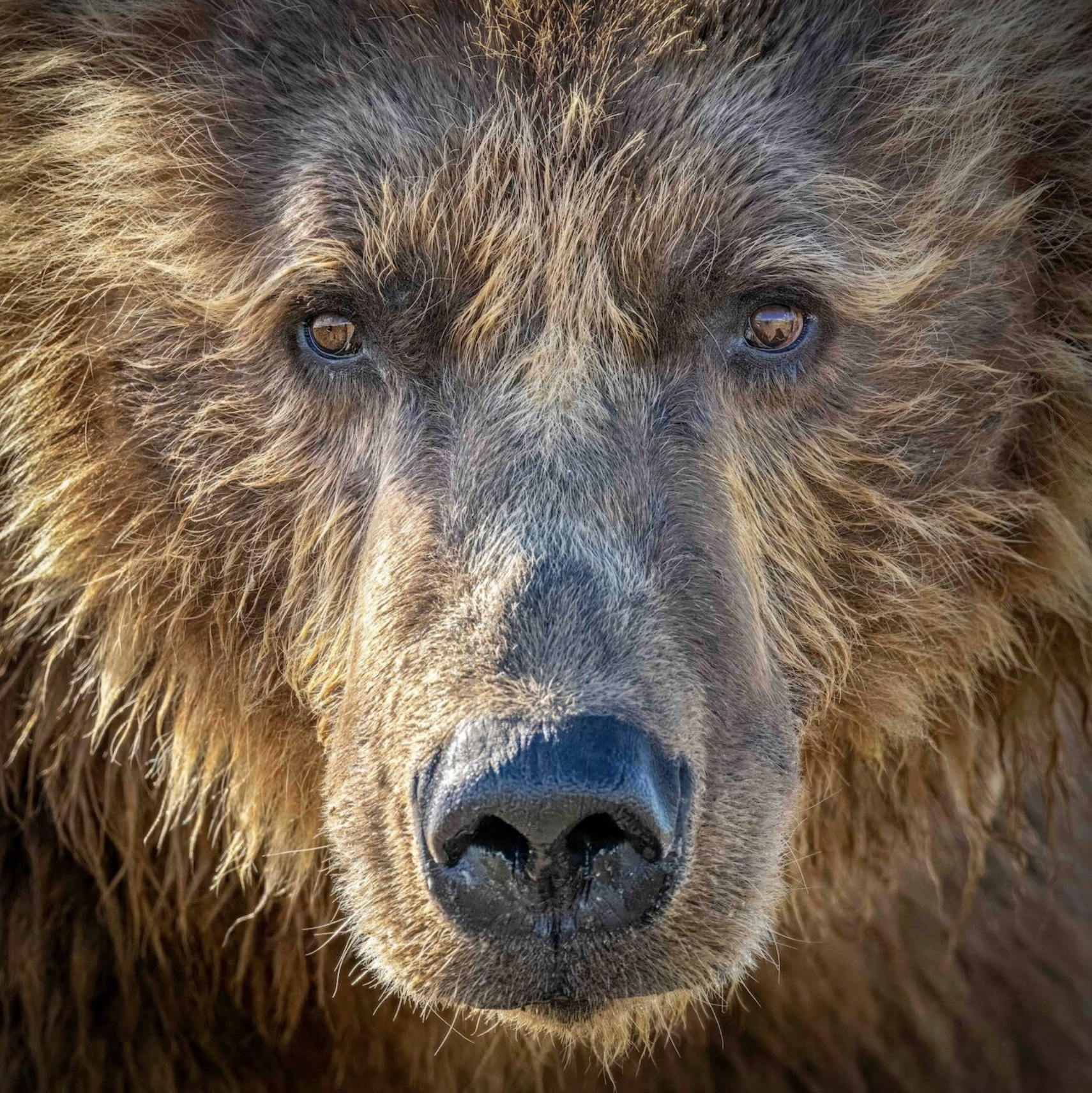 Screenshot 2026-02-27 at 1.01.36 PM.png