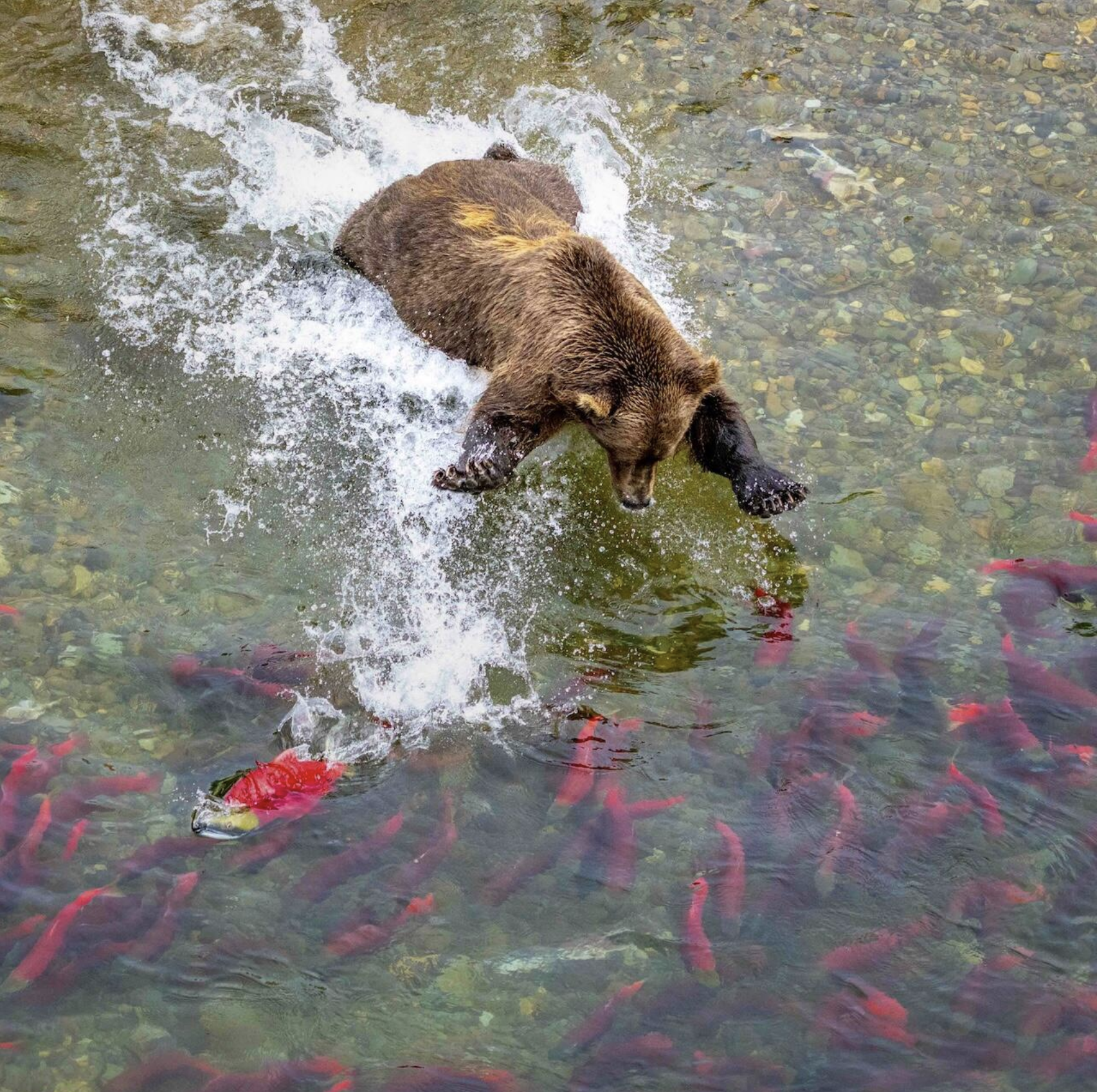 Screenshot 2026-02-27 at 12.56.46 PM.png