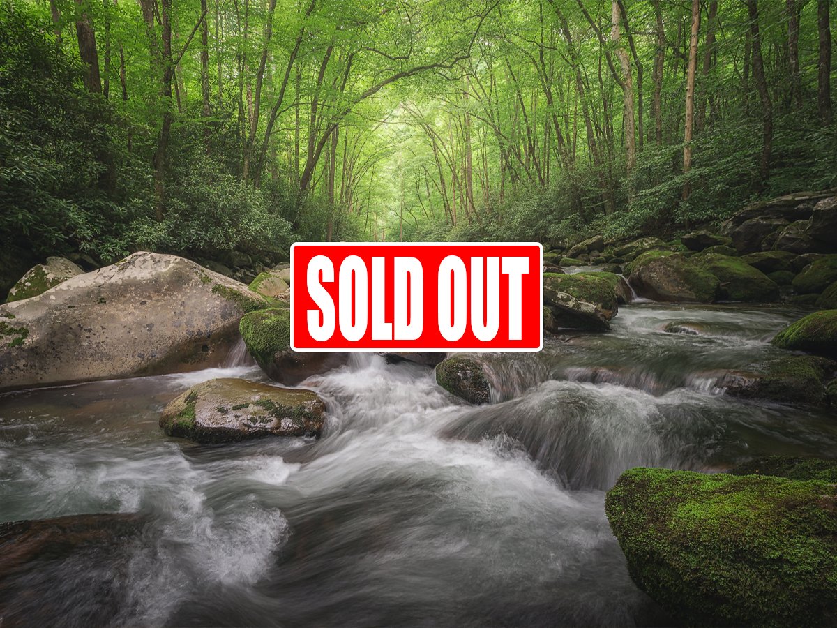 Great Smoky Mountains Spring Photo Tour April 28 - May 3, 2026  (SOLD OUT)