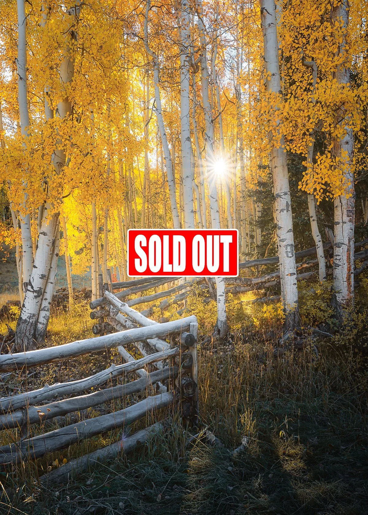Colorado Fall Tour October 1 - October 5, 2026 (SOLD OUT)