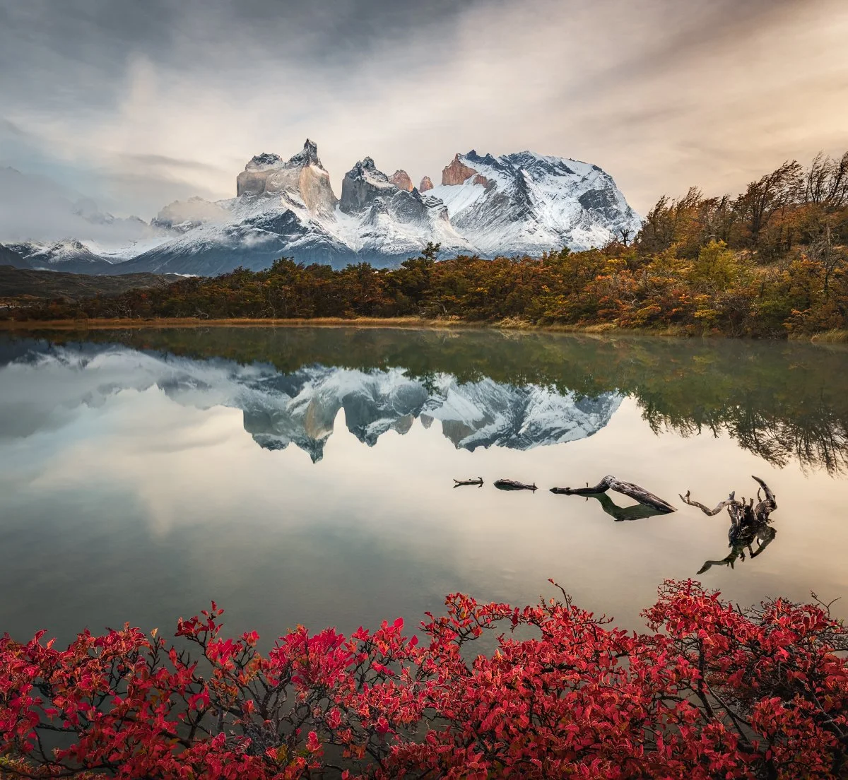 Patagonia Fall Reflect_1200x1104_U_100_Facebook.jpg