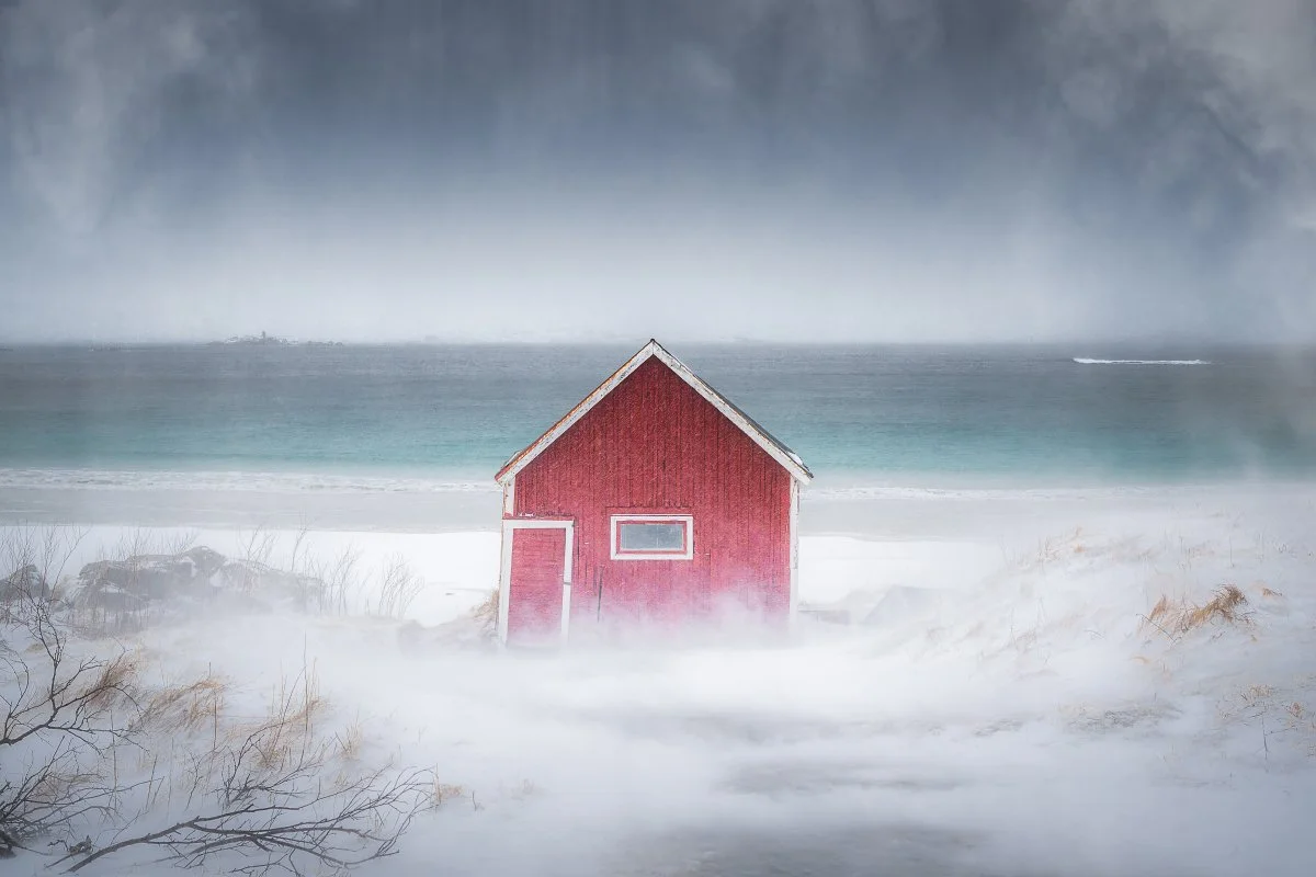 Frosty Wind Whipped Facebook.jpg