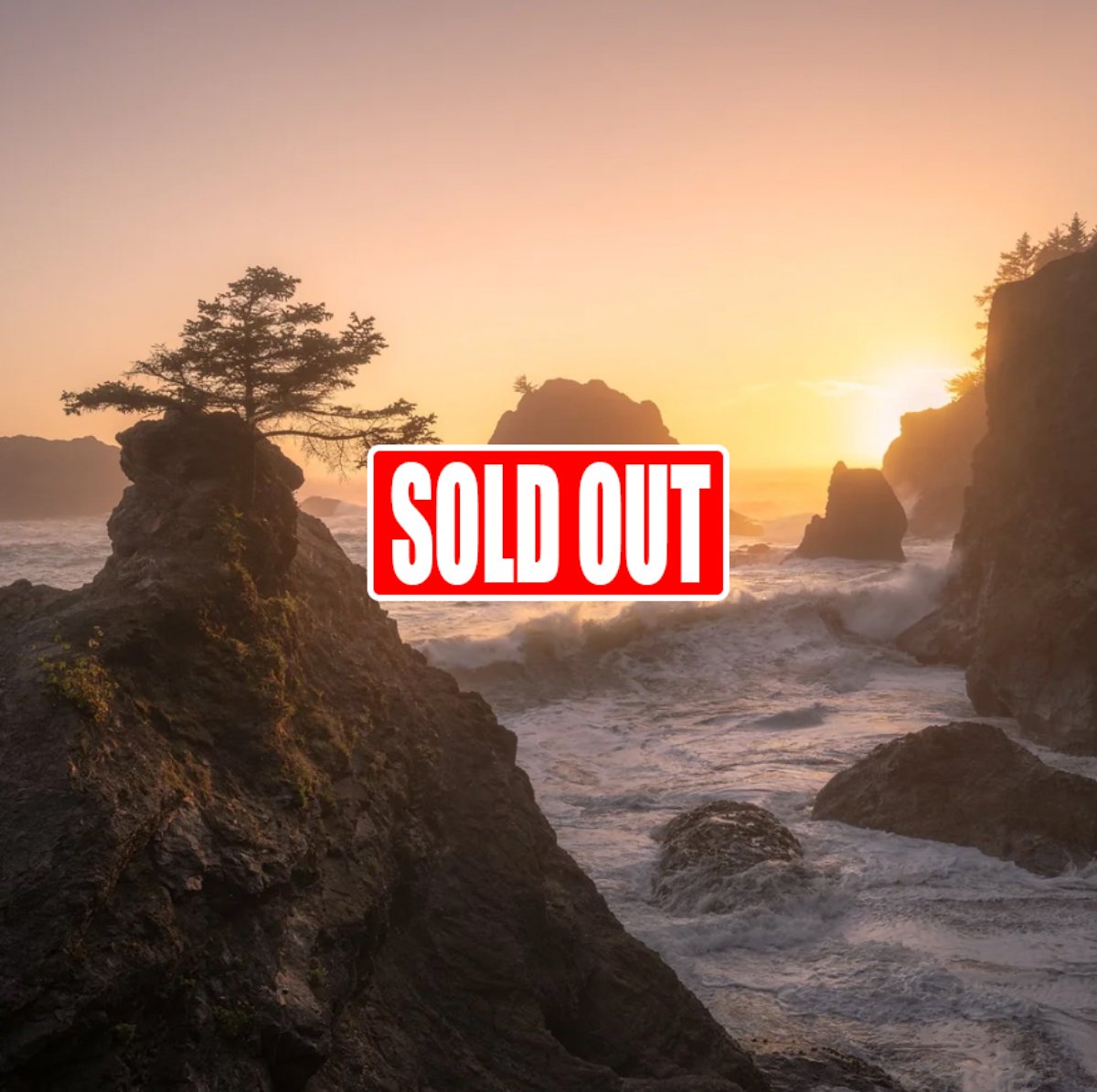 Oregon Coast &amp; Redwoods Photo Tour May 21 - May 27, 2027 (SOLD OUT)