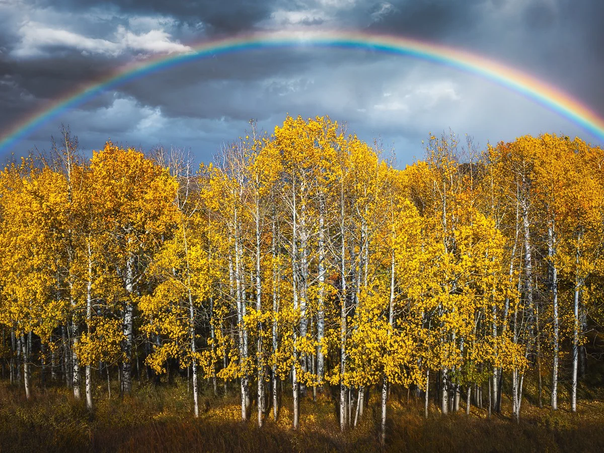 Colorado Fall Photo Tour September 30 - October 4, 2027