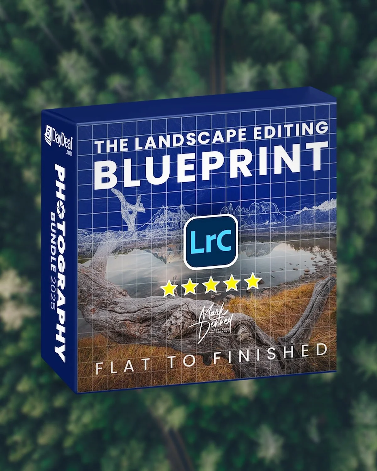 The Landscape Editing Blueprint