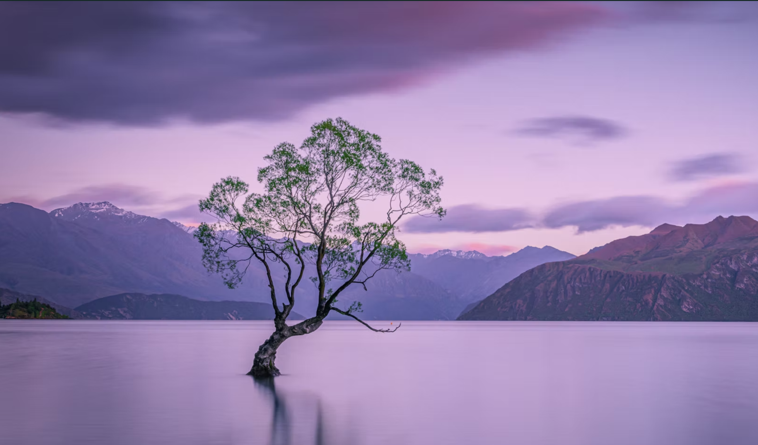 New Zealand Photo Tour December 1 - December 12, 2026
