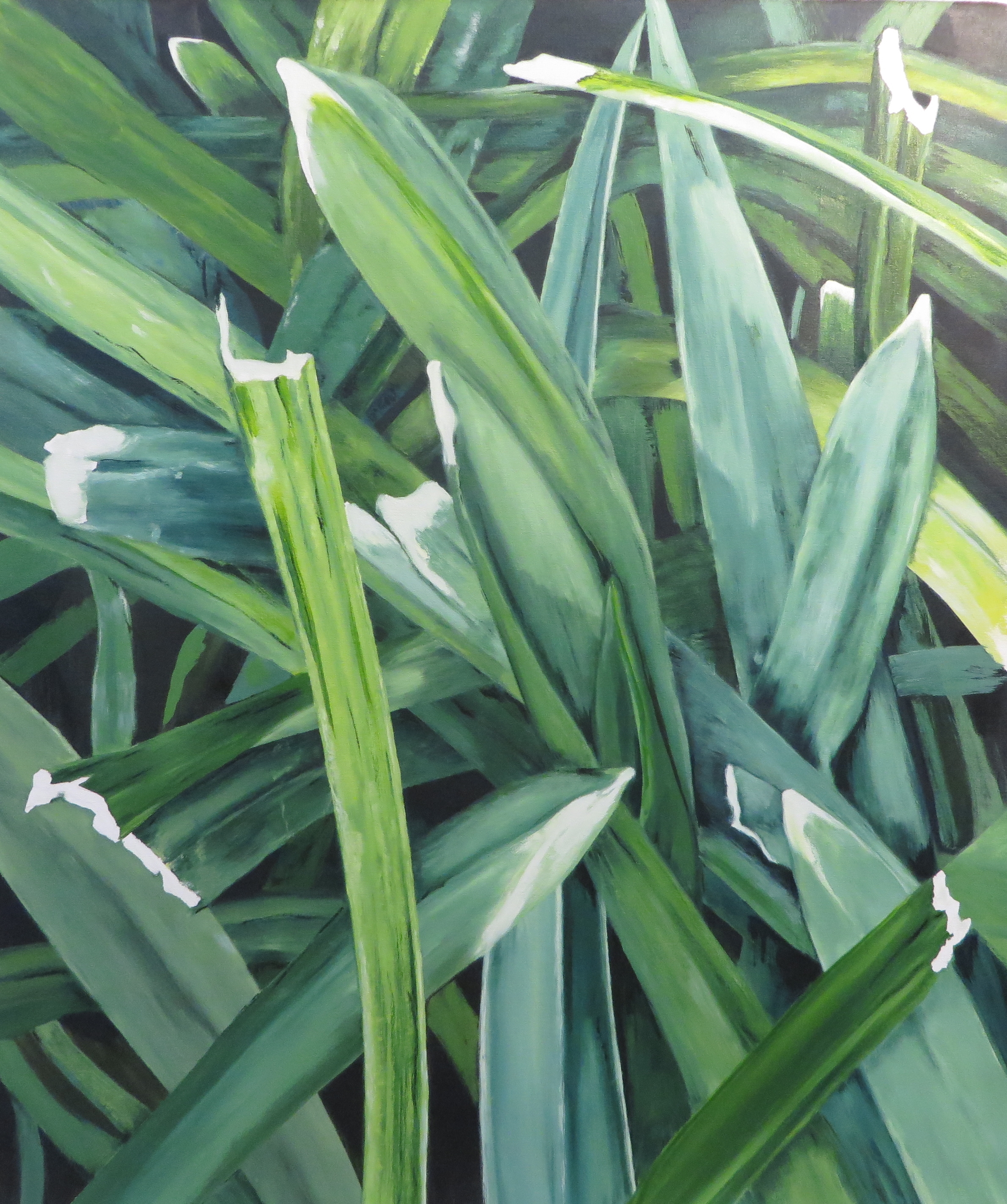 Grass, enlarged, 2014