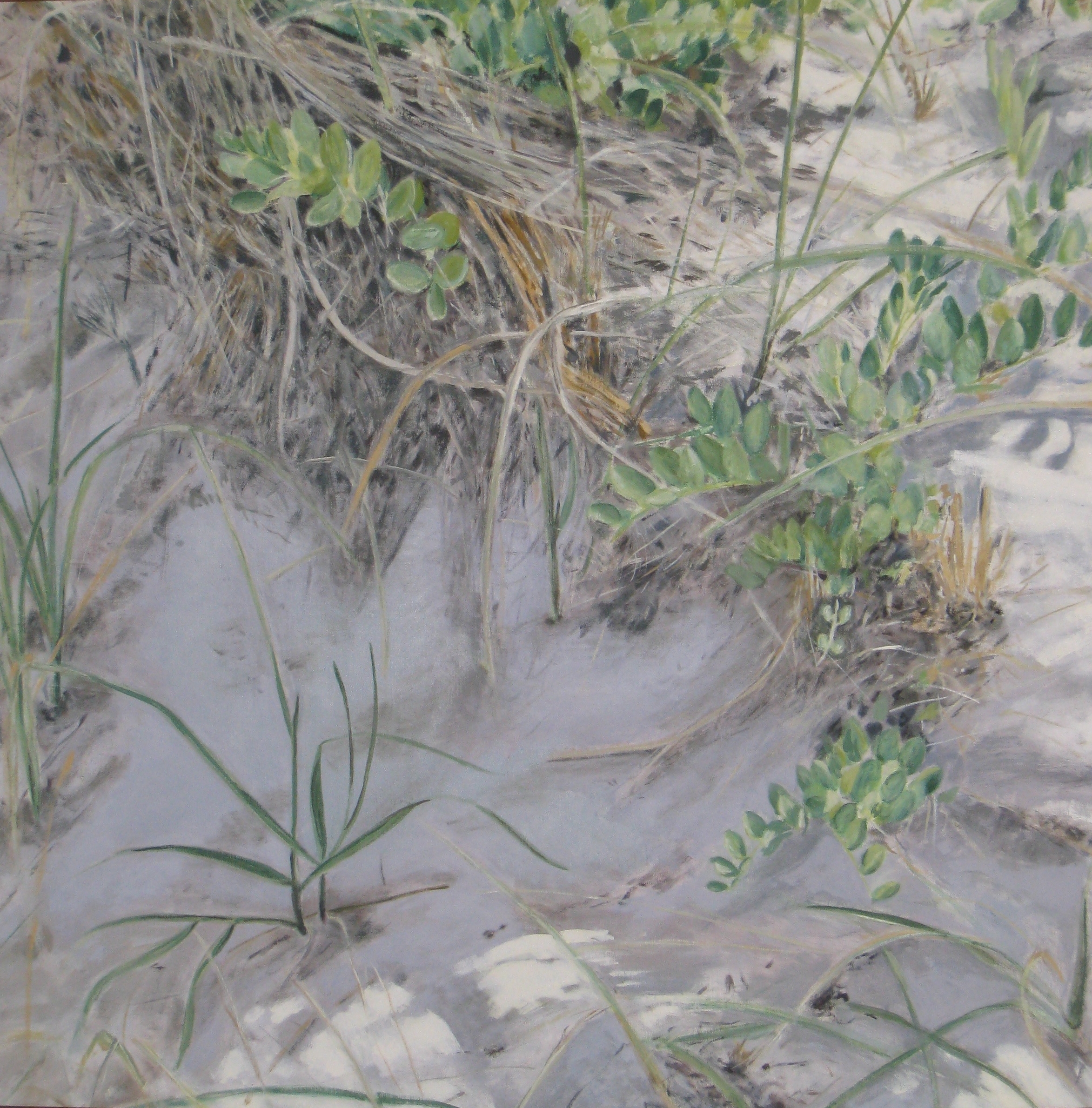 SOLD - Dunes, East Hampton 2, 2007