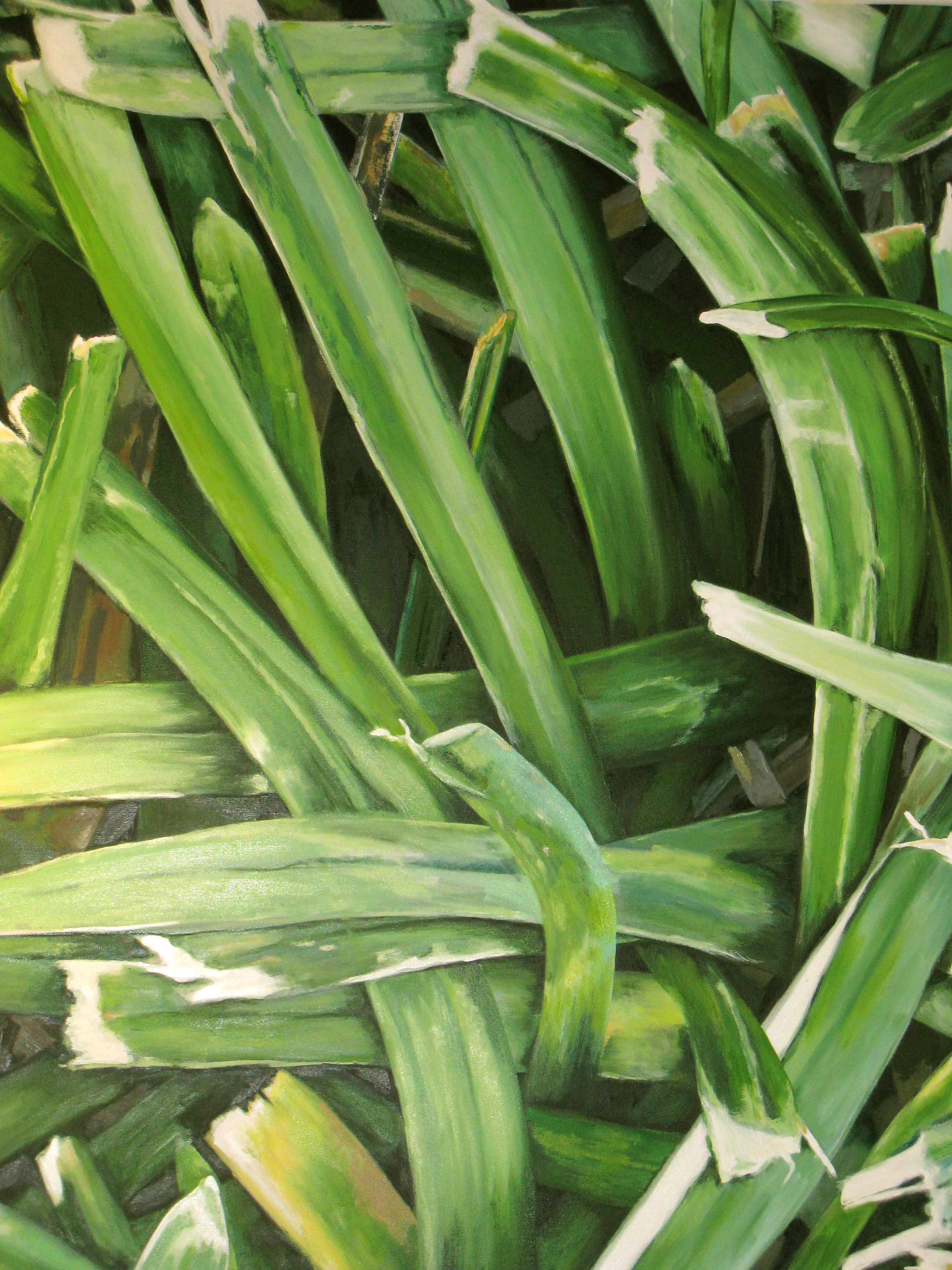 Large Grass Up Close, 2010