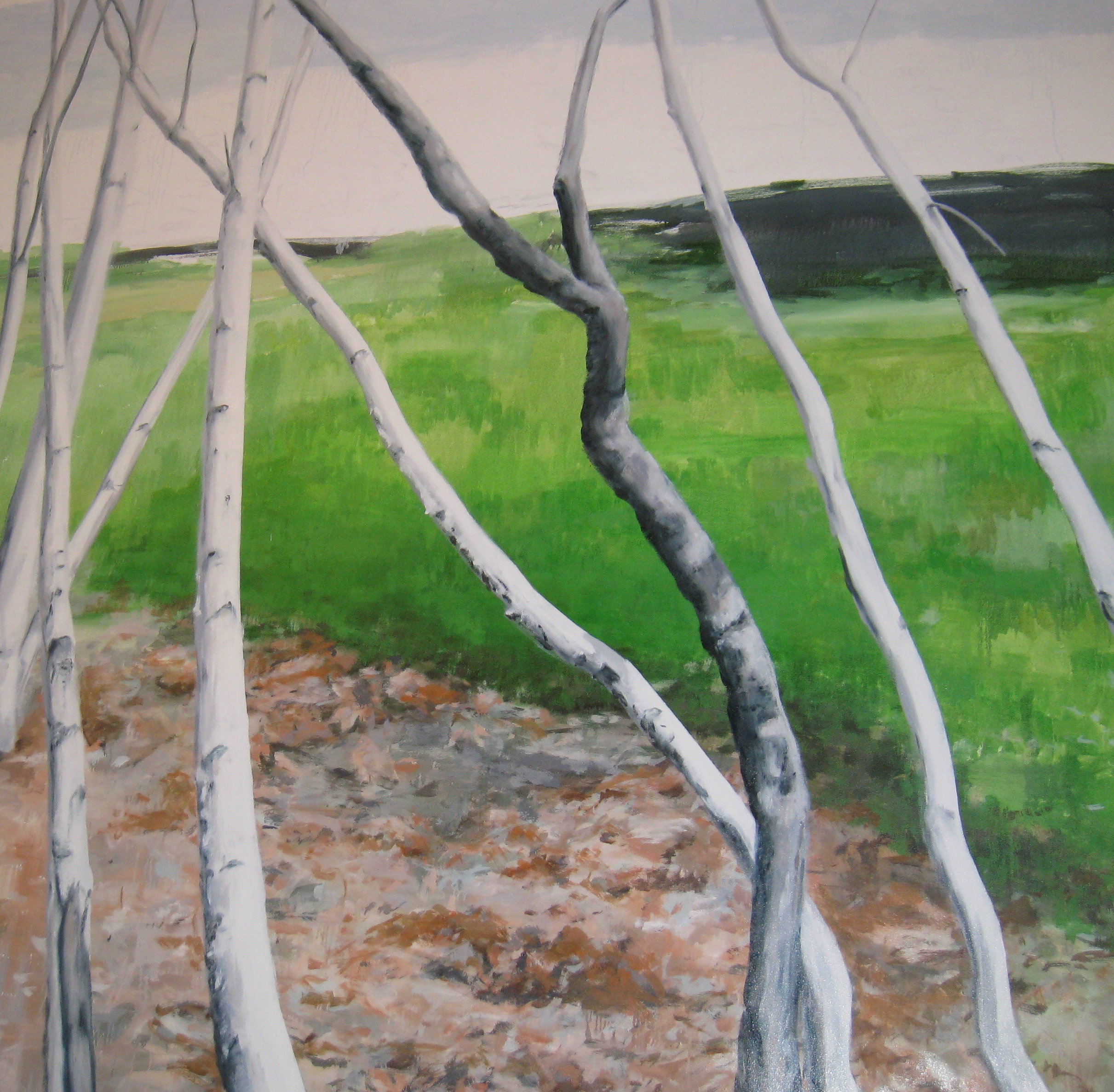 Birch Trees in a landscape, 2008