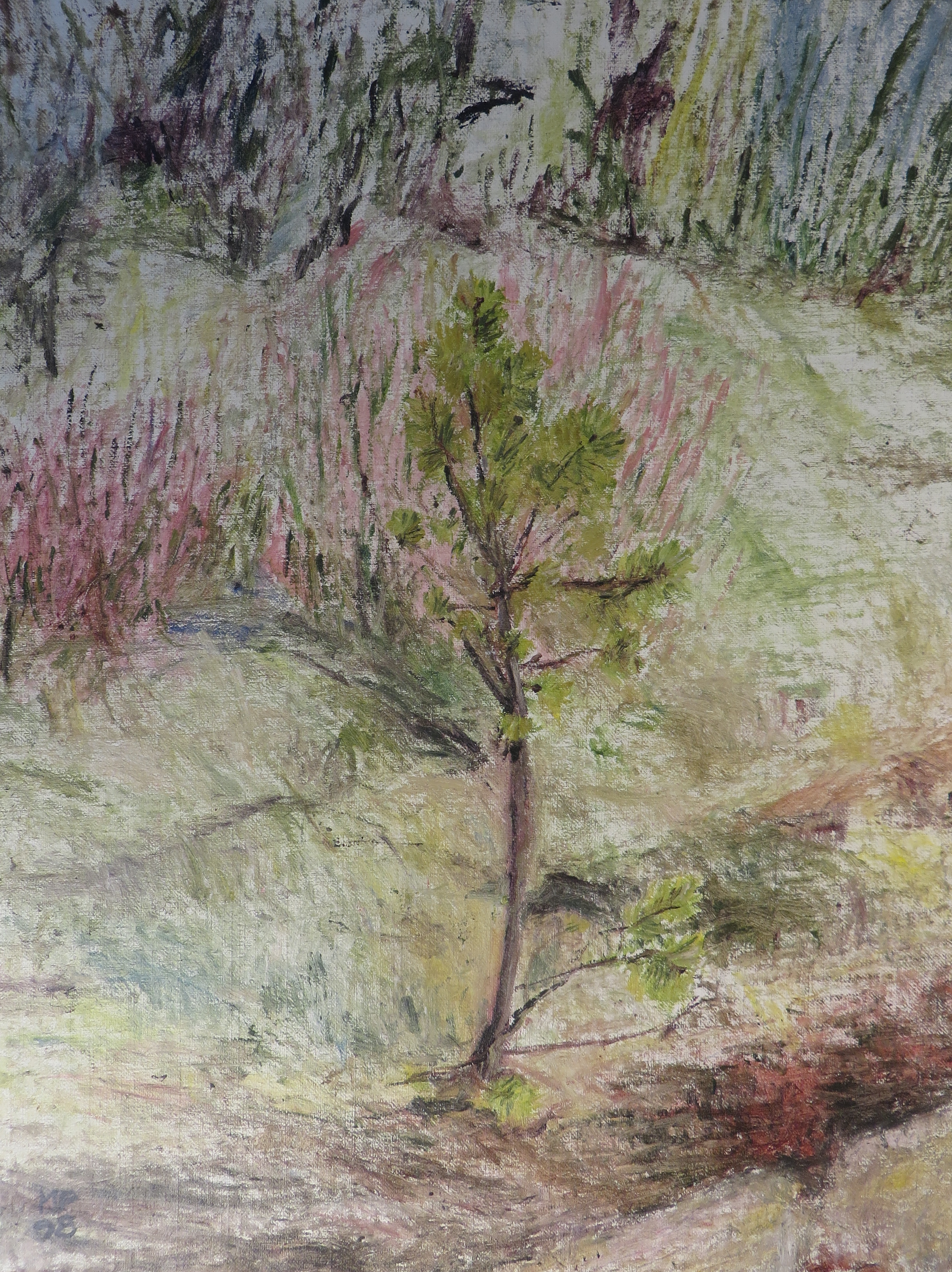 Little Tree, 1998