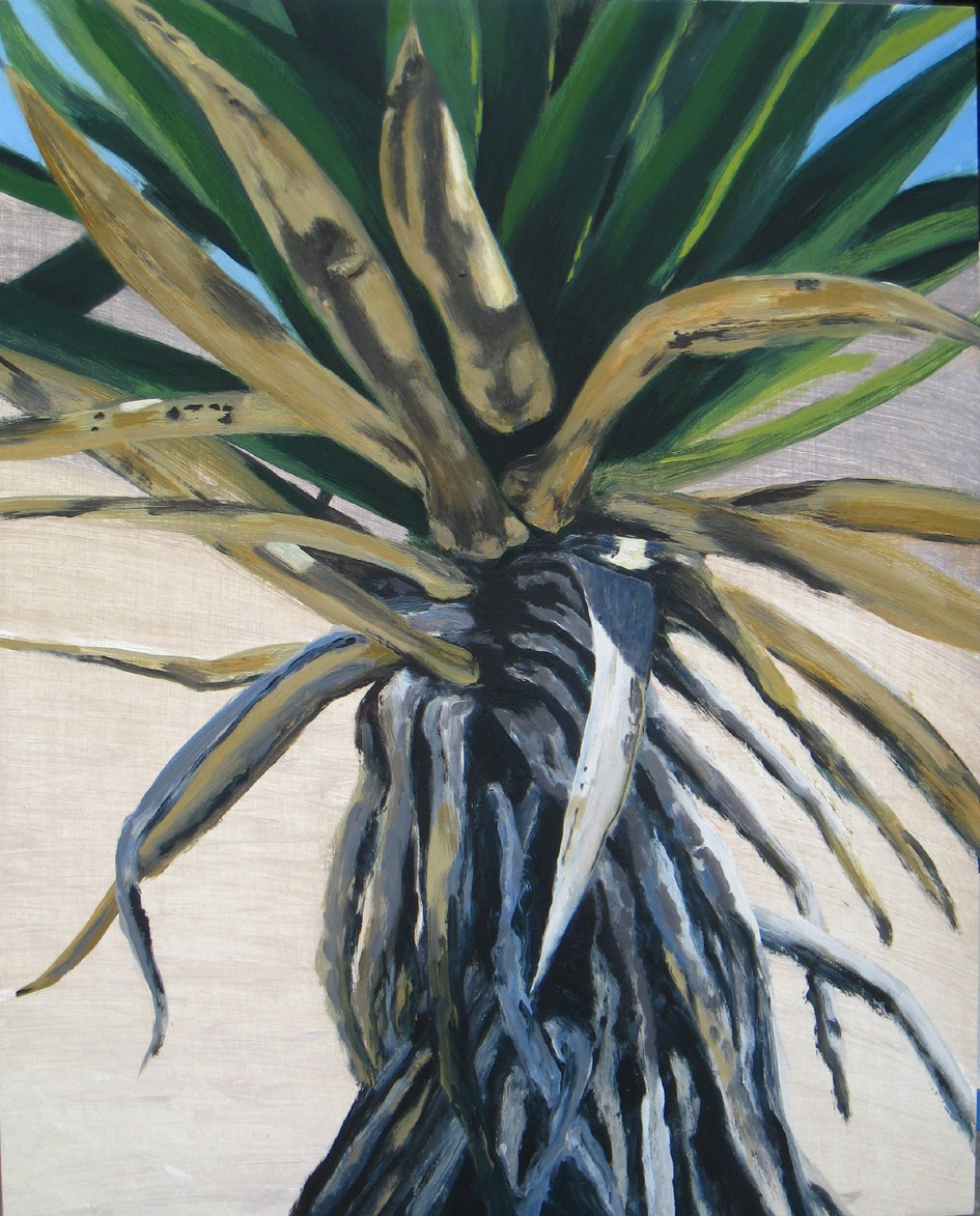 Joshua Tree 1, 2008