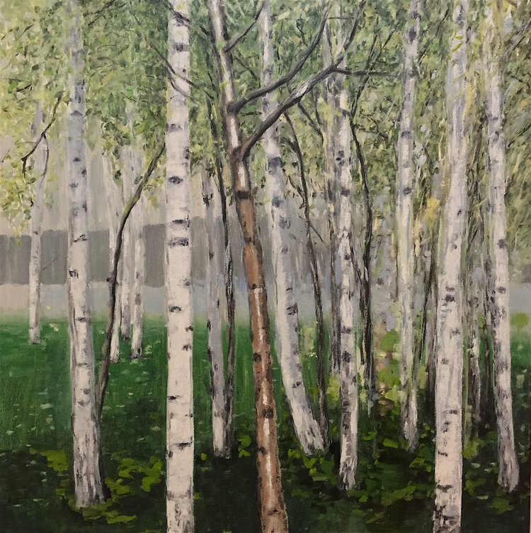 Birch Trees, 2008