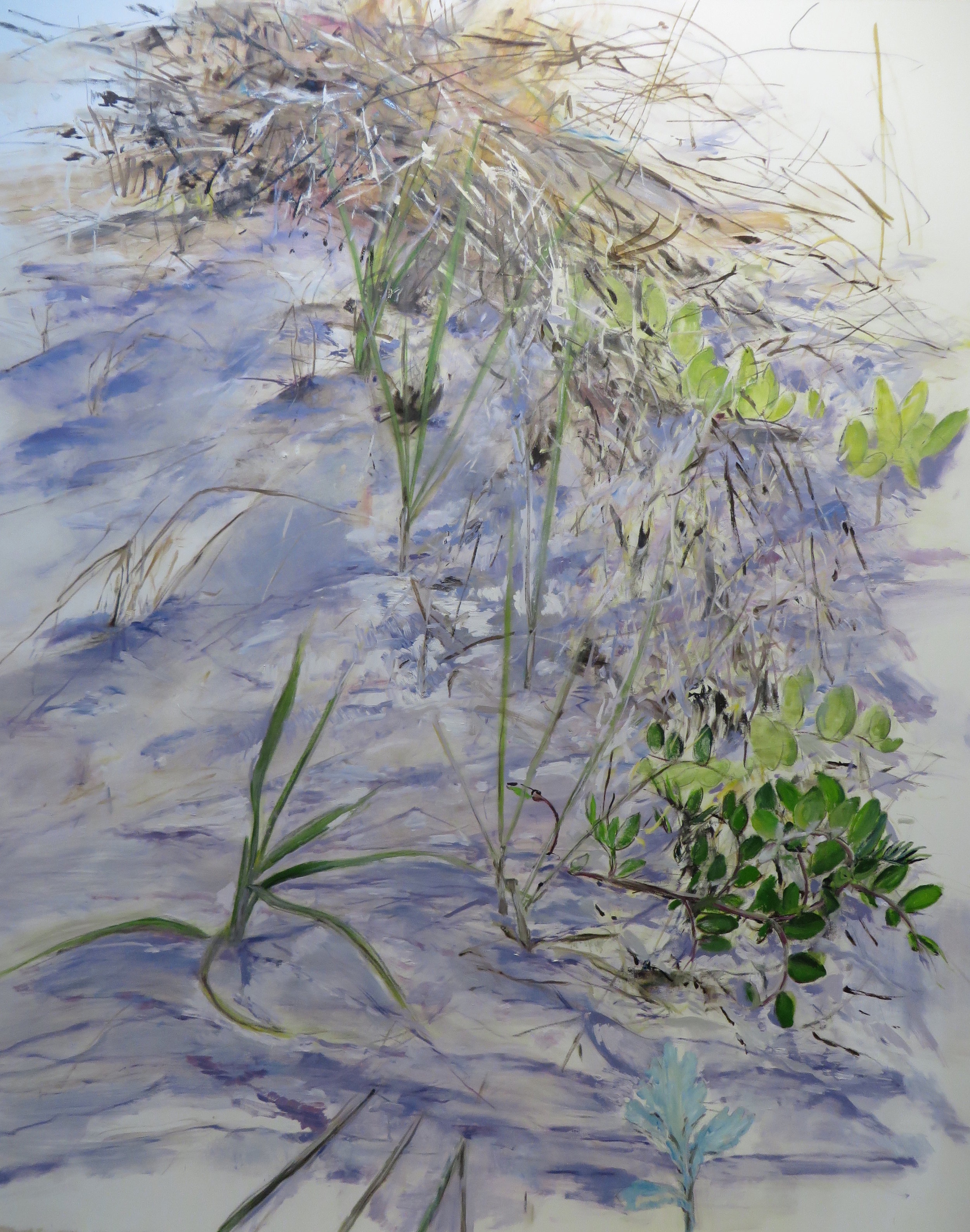 Dunes, Landscape Oil Painting, 2014