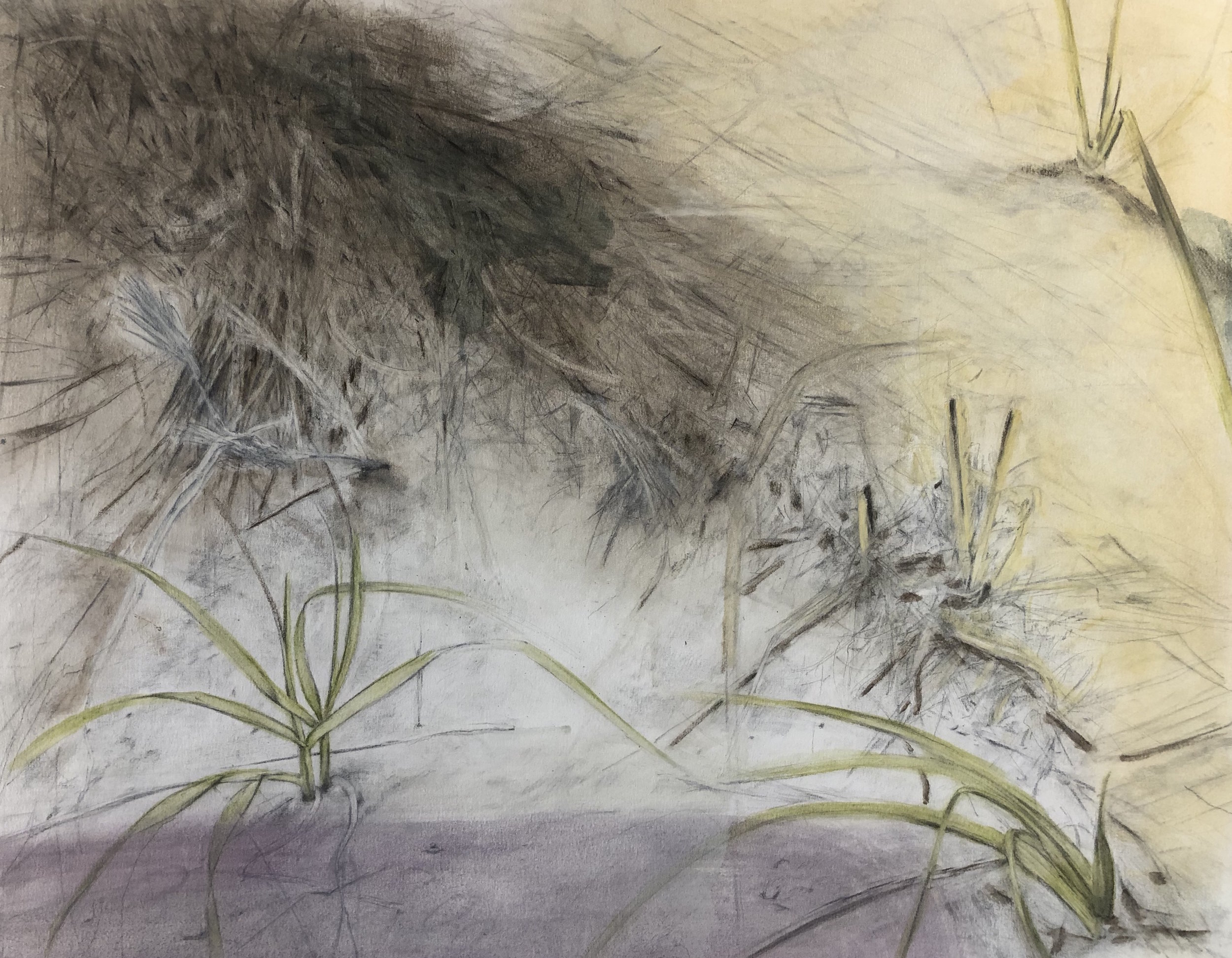 Dunes Rendering, Painting, 2015