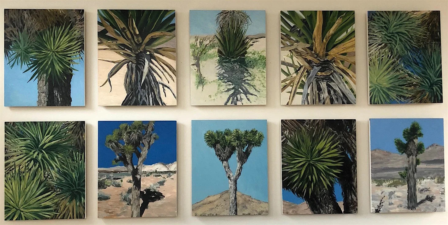 Joshua Tree, 2008