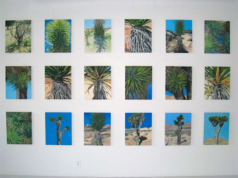 Joshua Tree, Group of 18, 2008