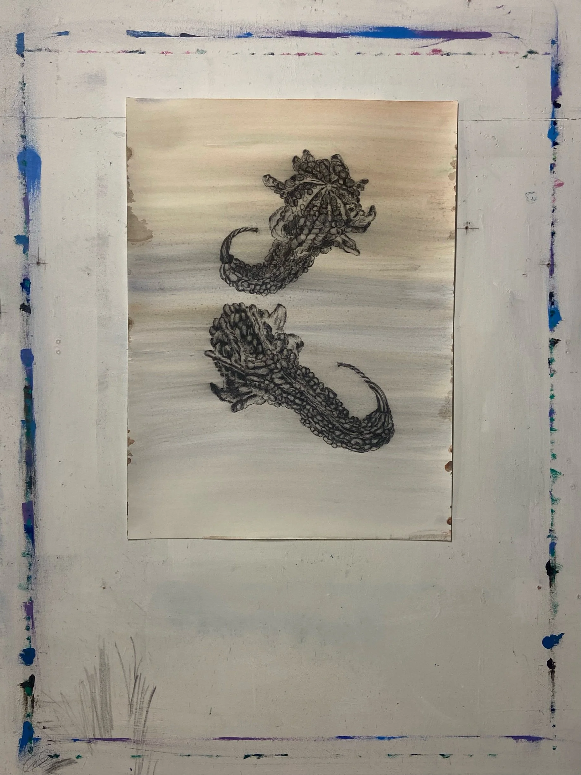 Two Views of a Gourd, 2025