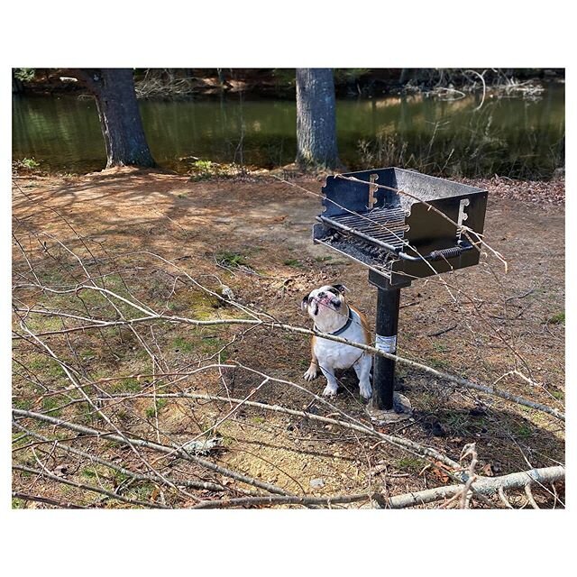 Smelling Meat: A Love Story ❤️
&ldquo;Ma, I know there&rsquo;s meat up there. I just have to get it! Give me a boost!&rdquo;