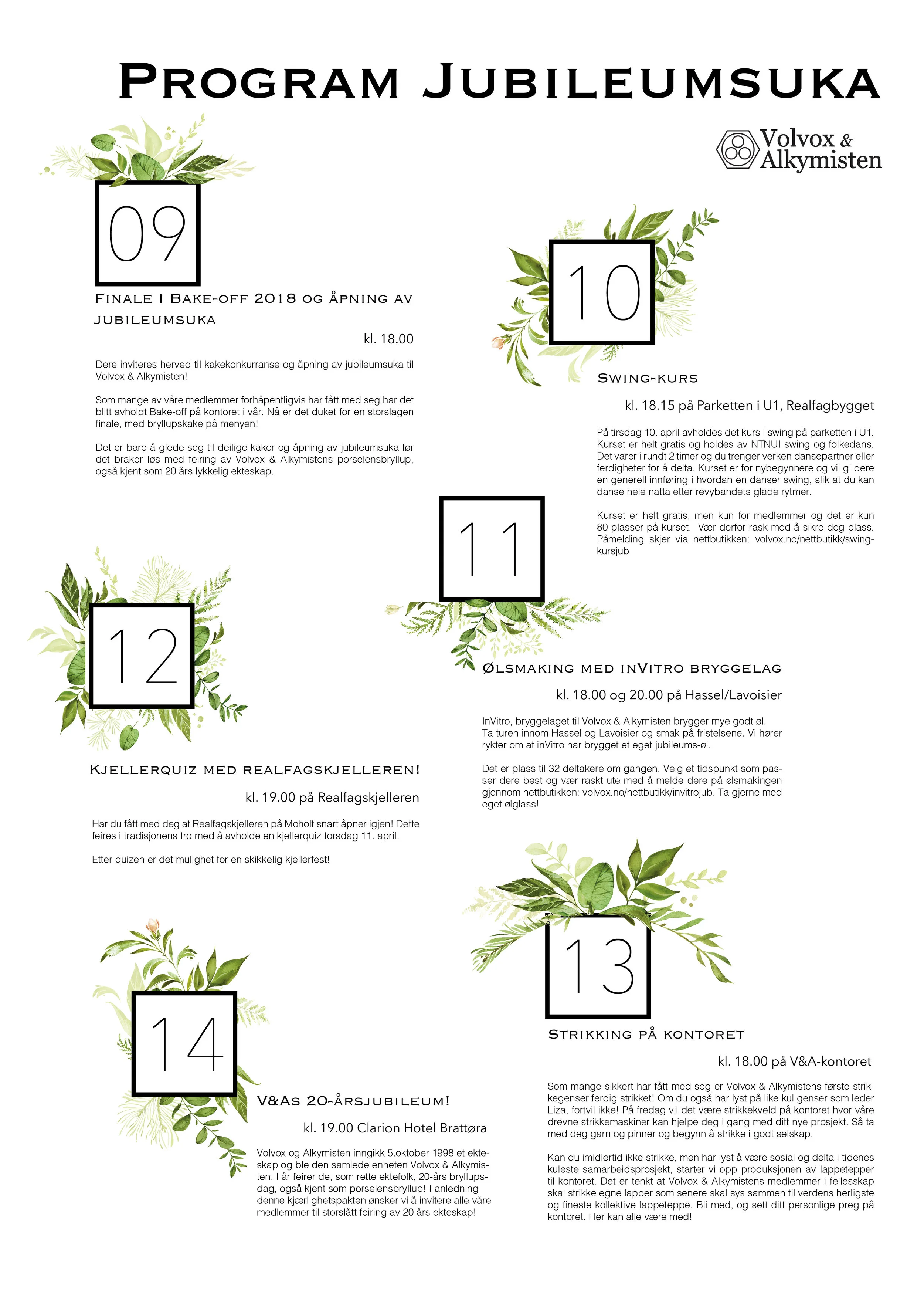 Program til jub20-2.jpg