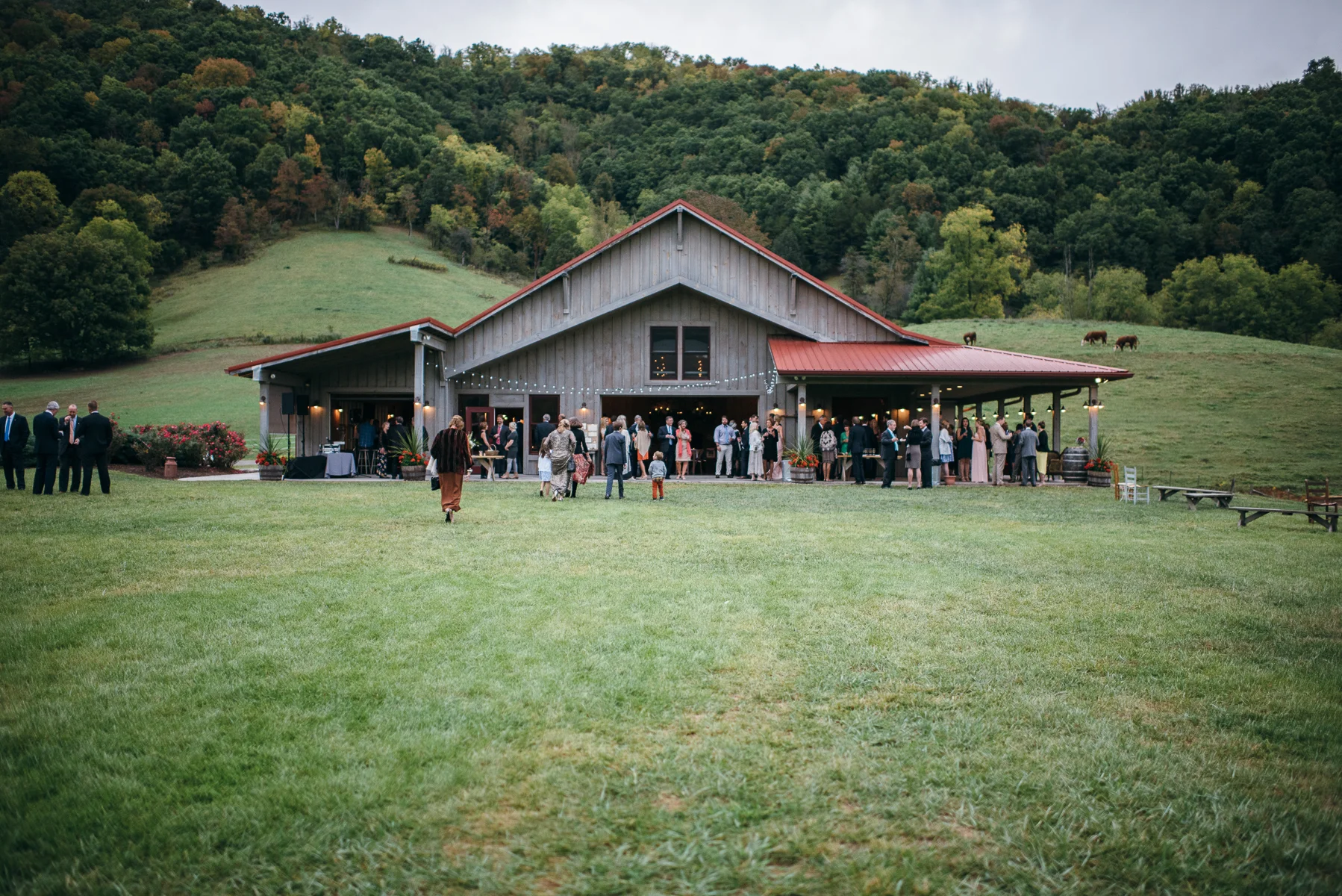 PN_photography_claxton-60.jpg