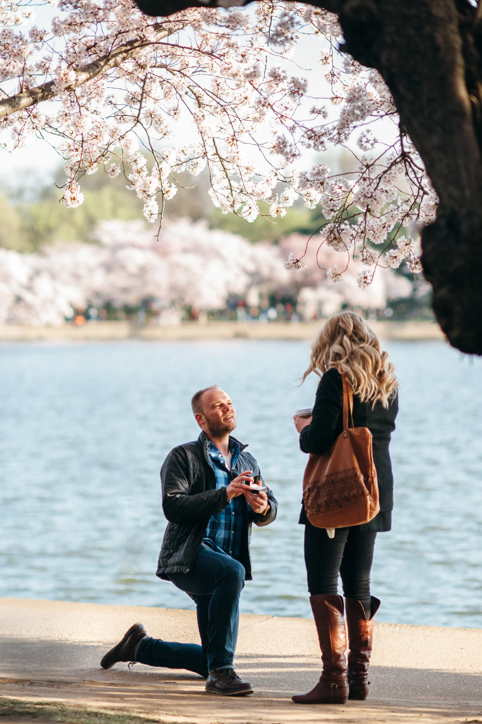 cherry_proposal-10.jpg
