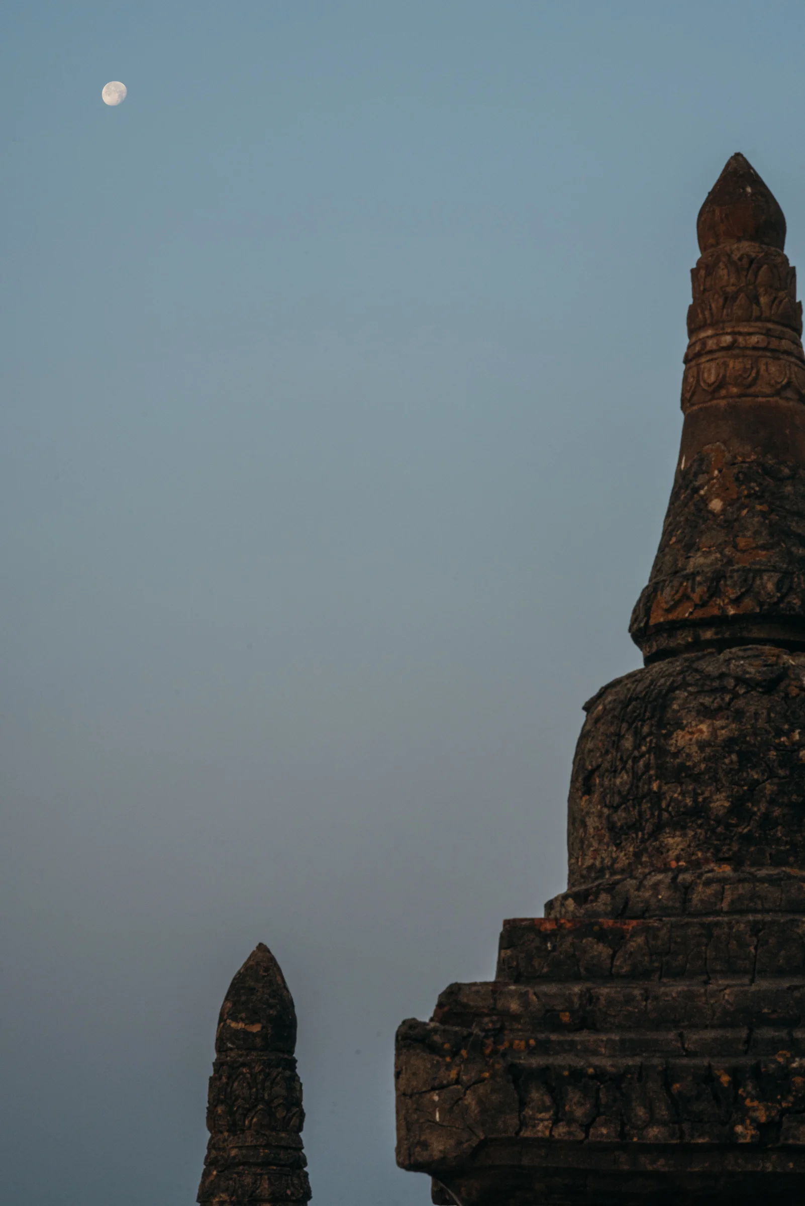DSC_6796.jpg