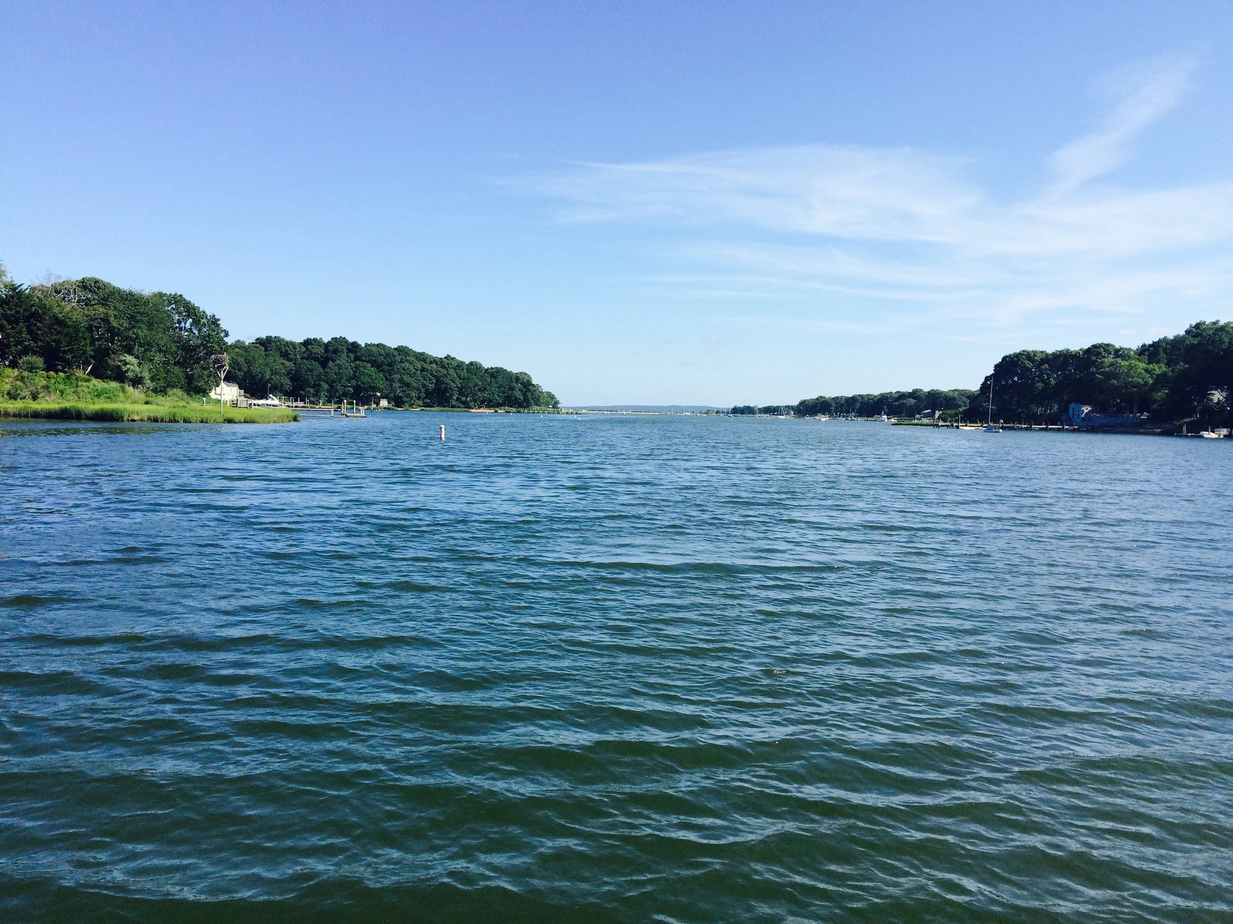 View from board.jpg