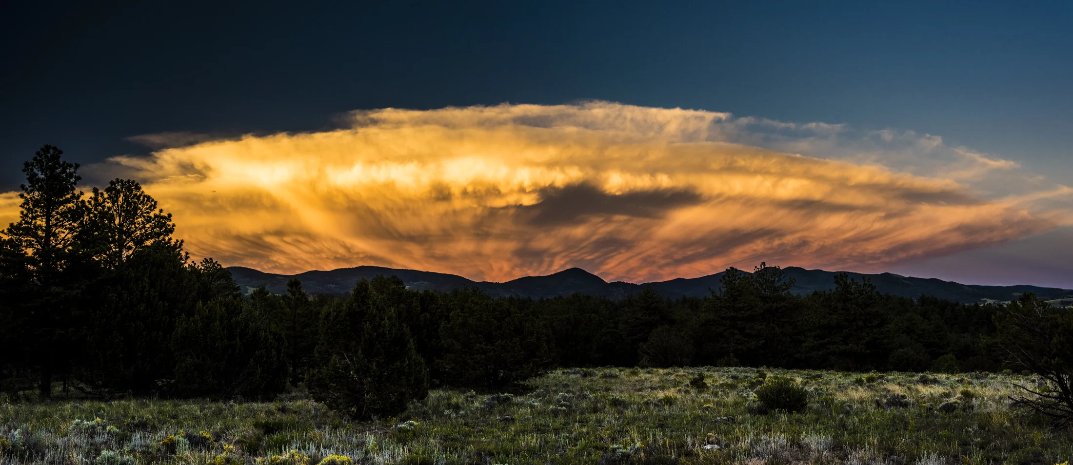 Mushroom Sunset Cloud sm.jpg