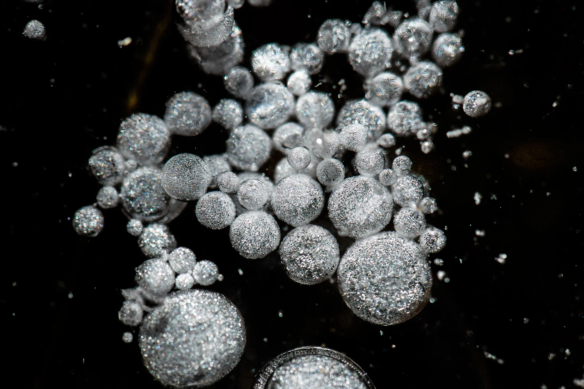 Cosmos in Ice