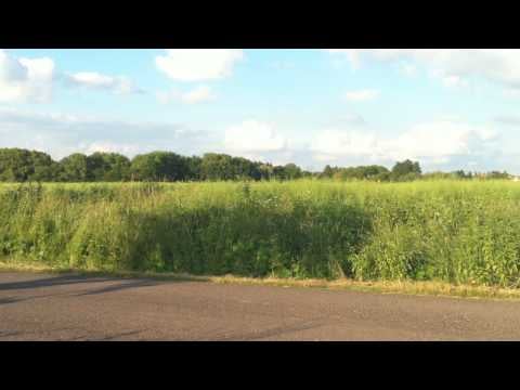 iPhone 4 HD Video Sample