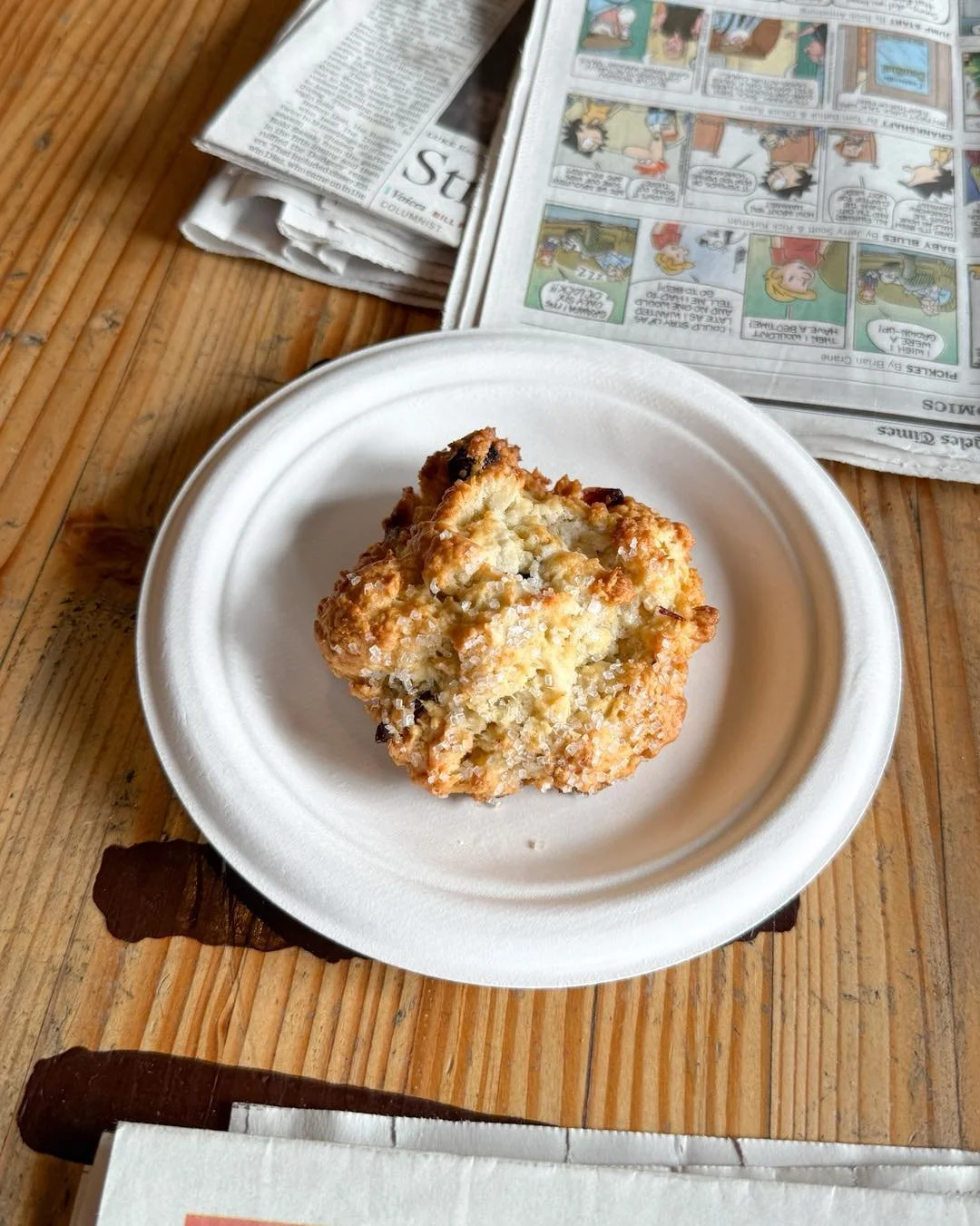 Make your morning a little sweeter with a delicious scone ☕🥐