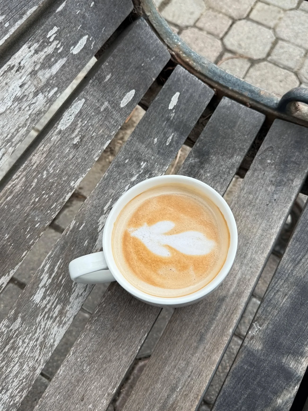 The perfect morning in Seal Beach start with a stop at Bogart's, a walk by the pier and a quiet bench to slow down and take in the ocean air. ☕🌊

It's a peaceful little meditation before the day begins 💫