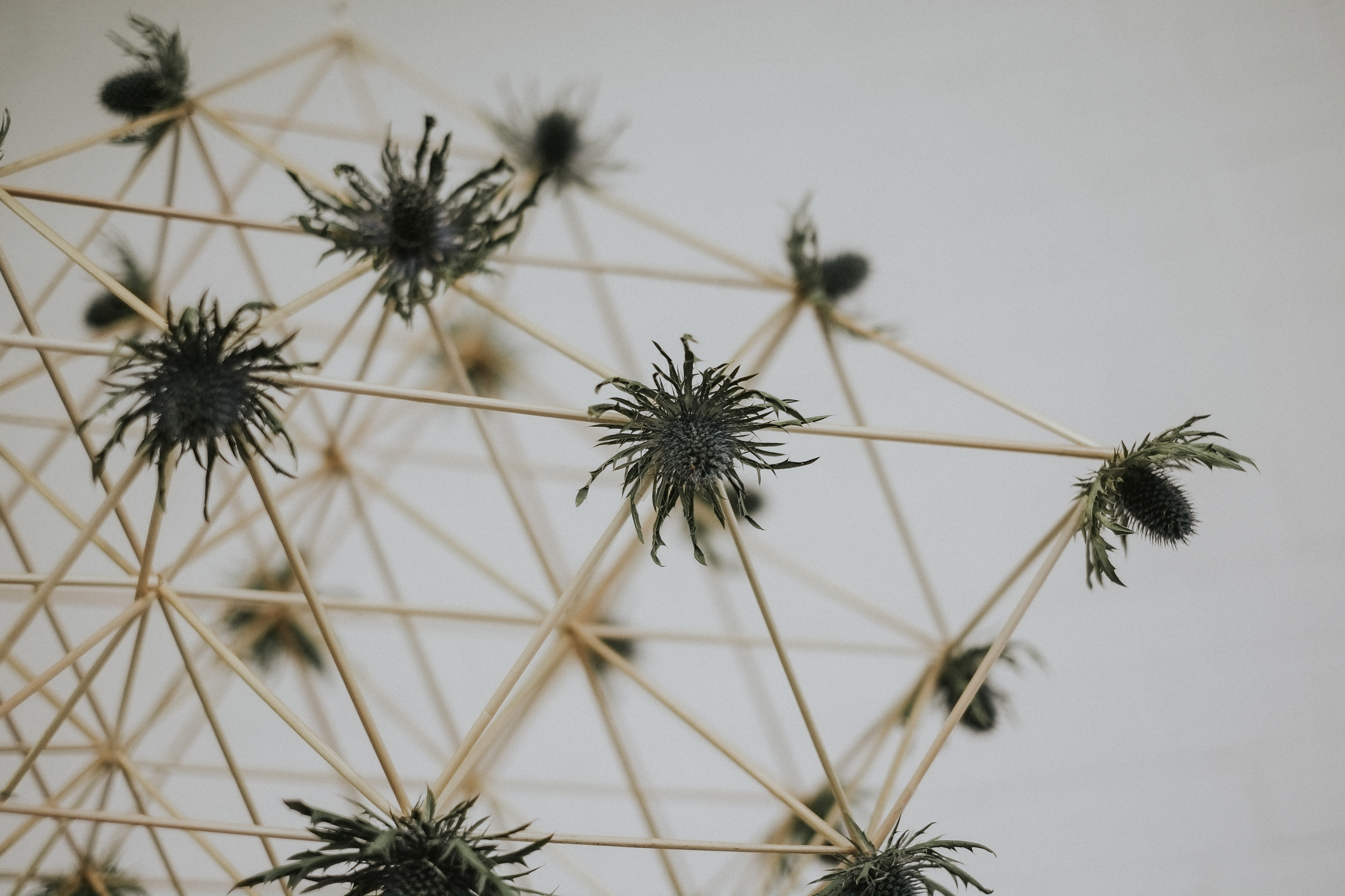  Striking geometric pajaki (traditional Polish chandeliers). This contemporary installation was handmade with rye straws and thistles by the charming Karolina of  bobbin &amp; bow .&nbsp; 