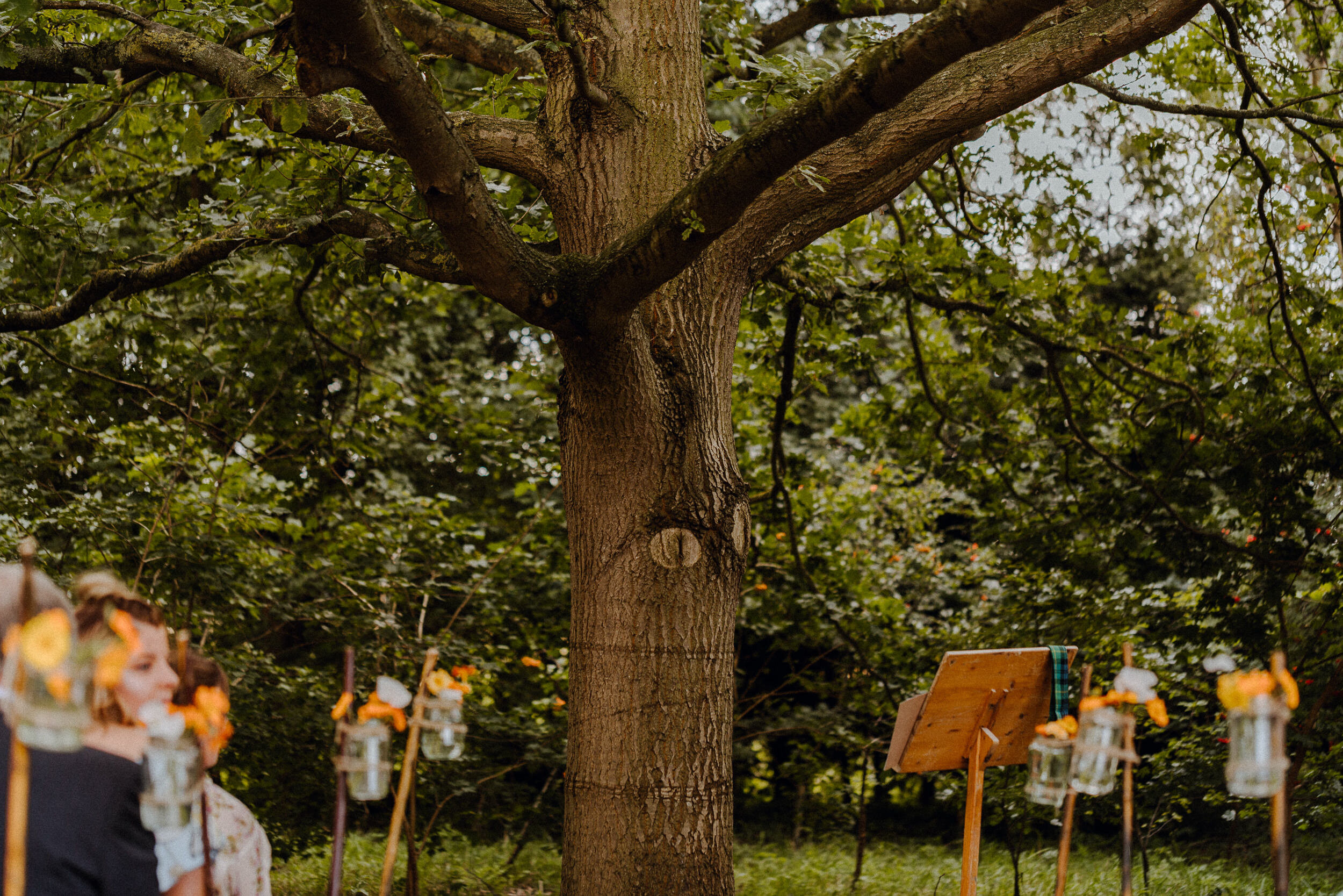 foxandowl.uk_20190803_0545.jpg