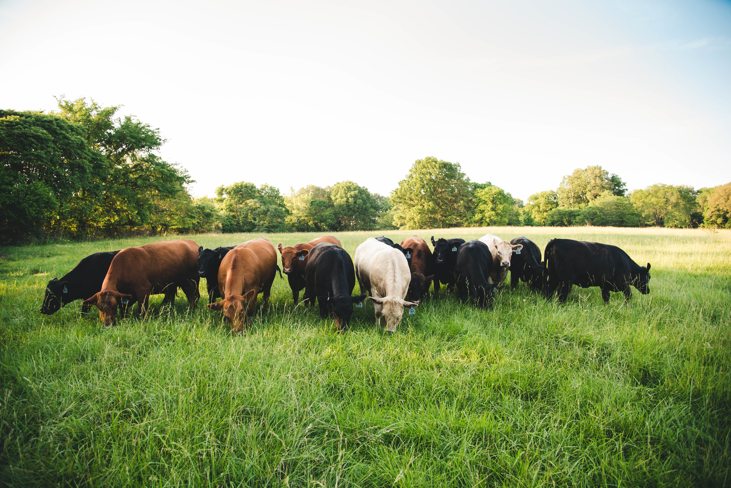 Be Smart, Be Kind, Be Quiet