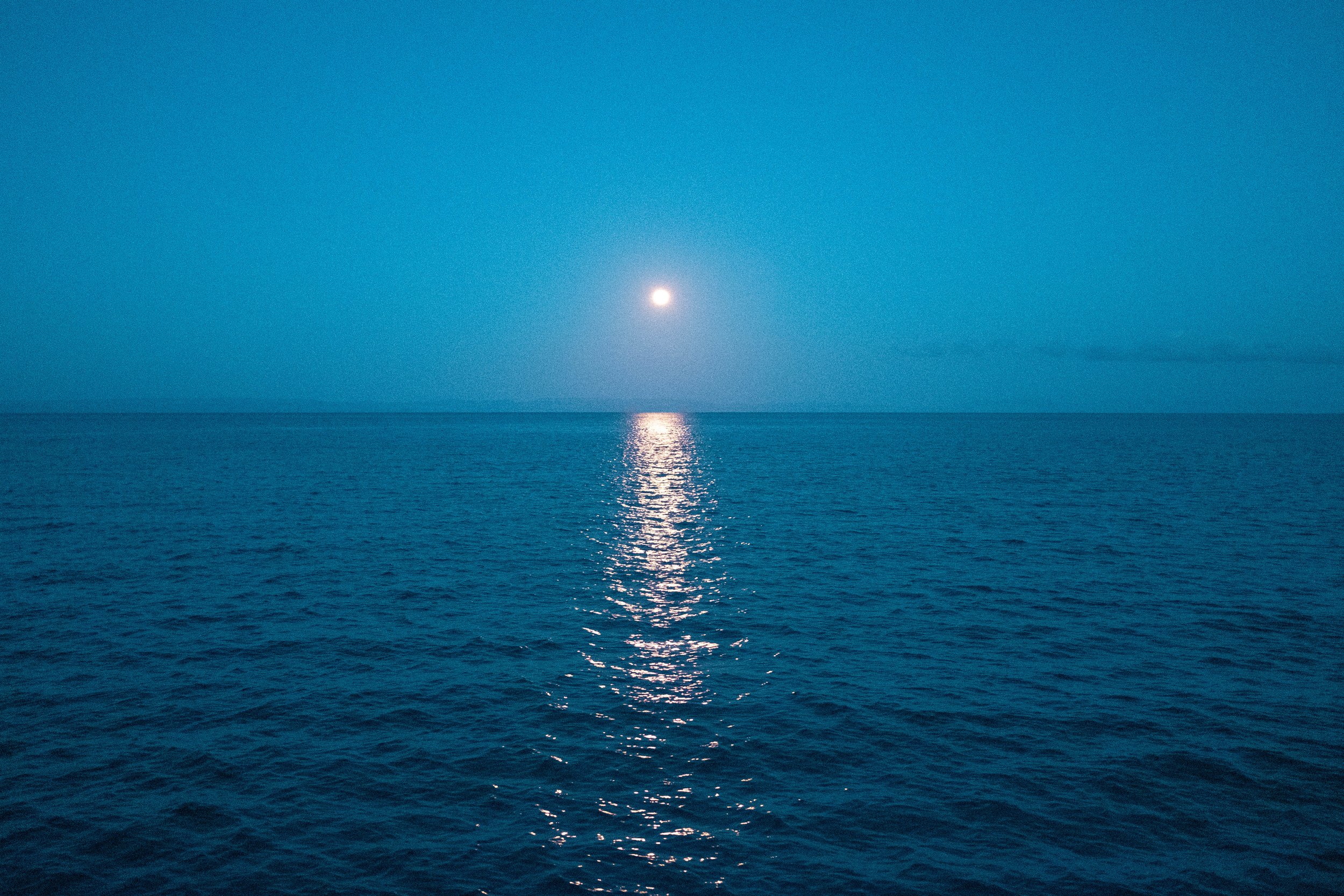 DSCF4388.jpg
