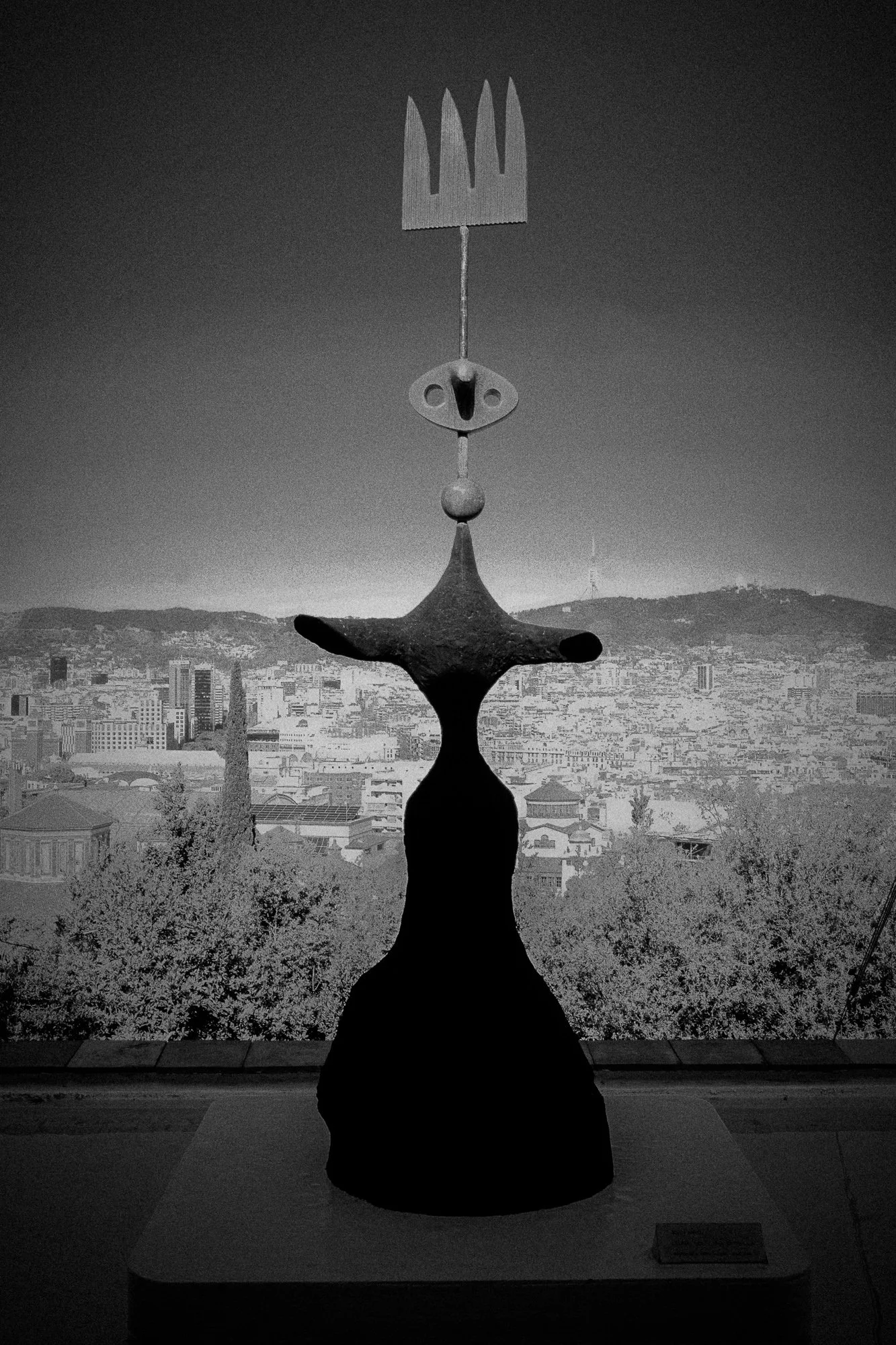 DSCF6450.jpg